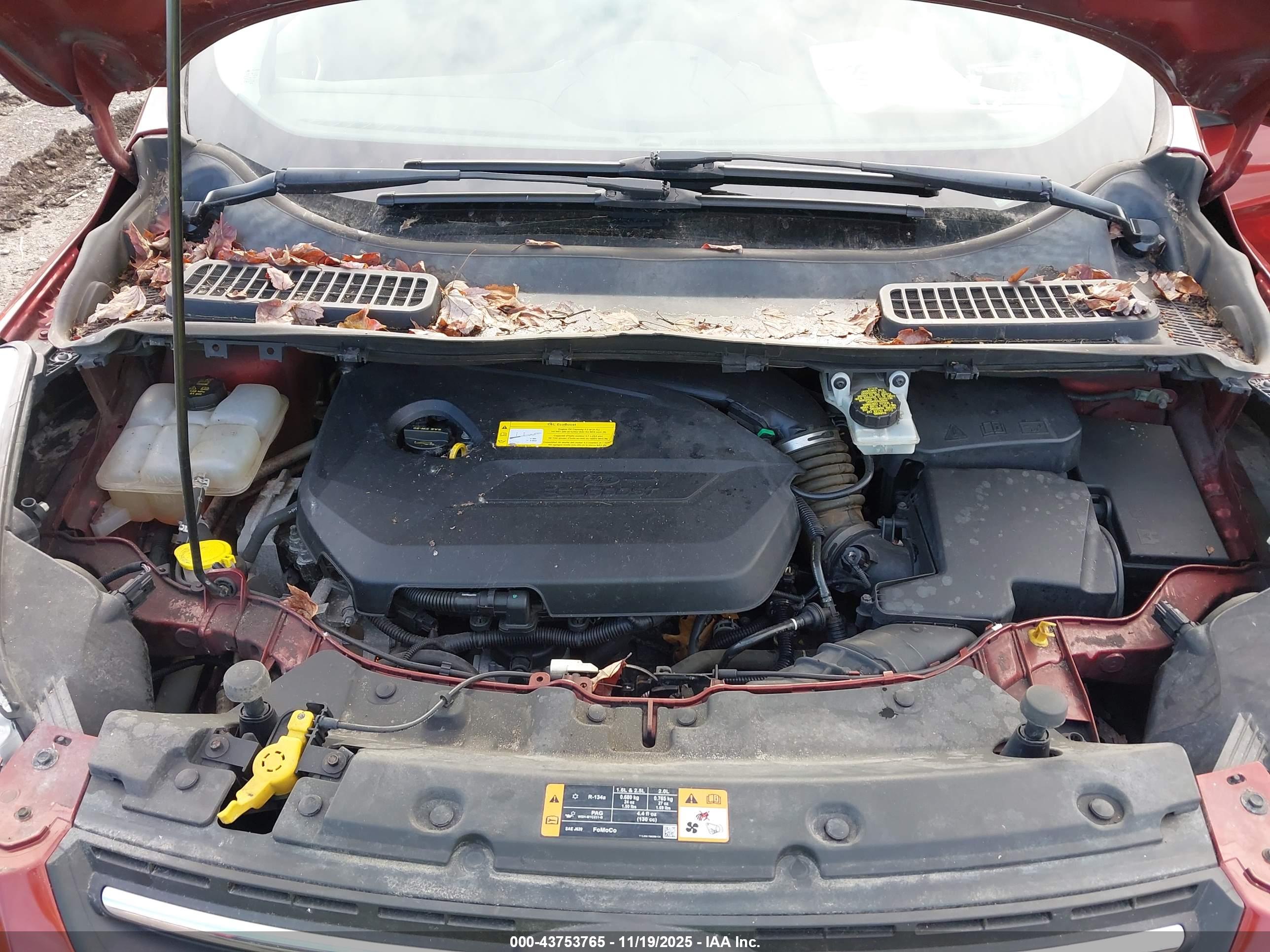 FORD ESCAPE image 10