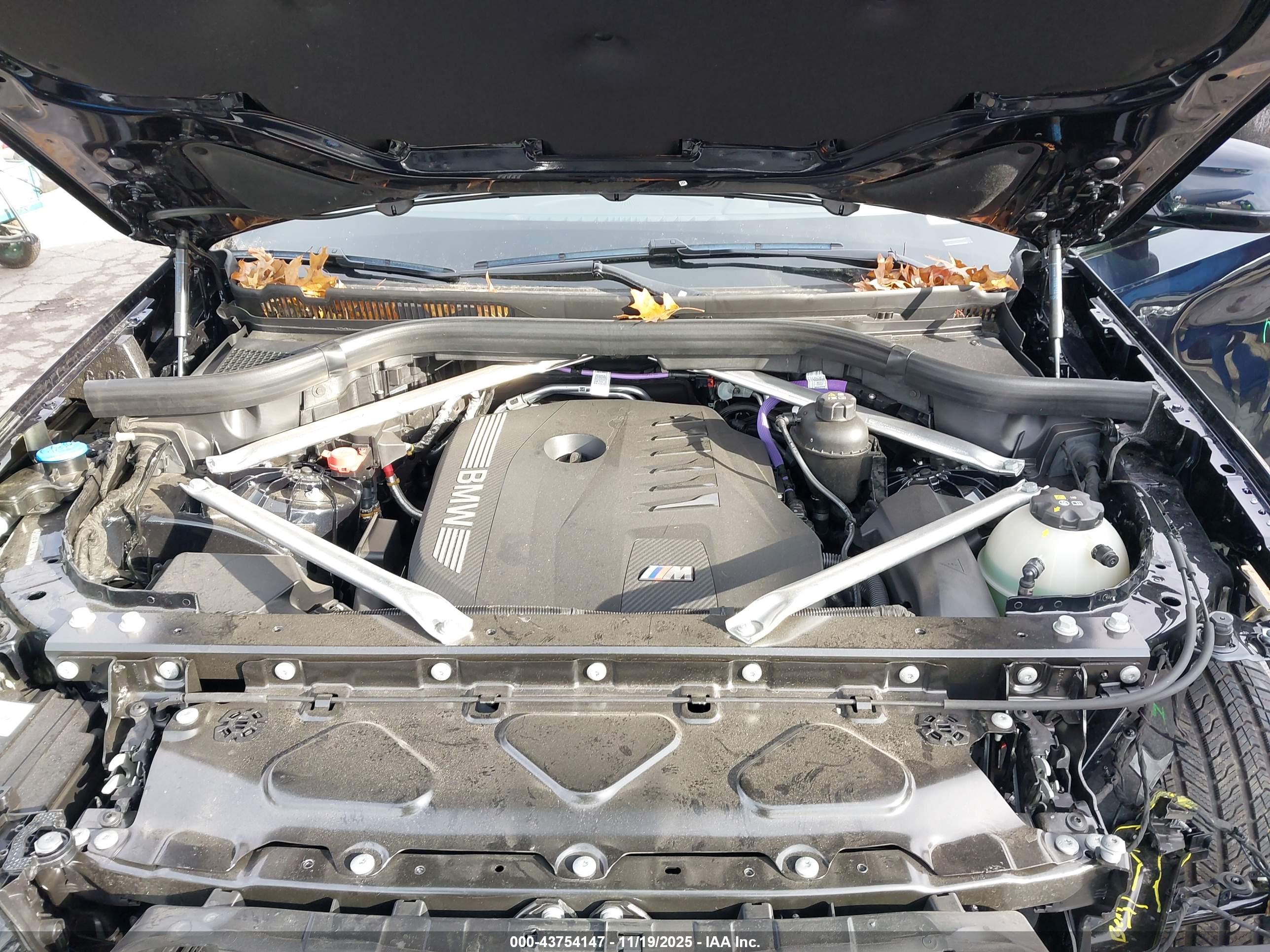 BMW X6 image 10
