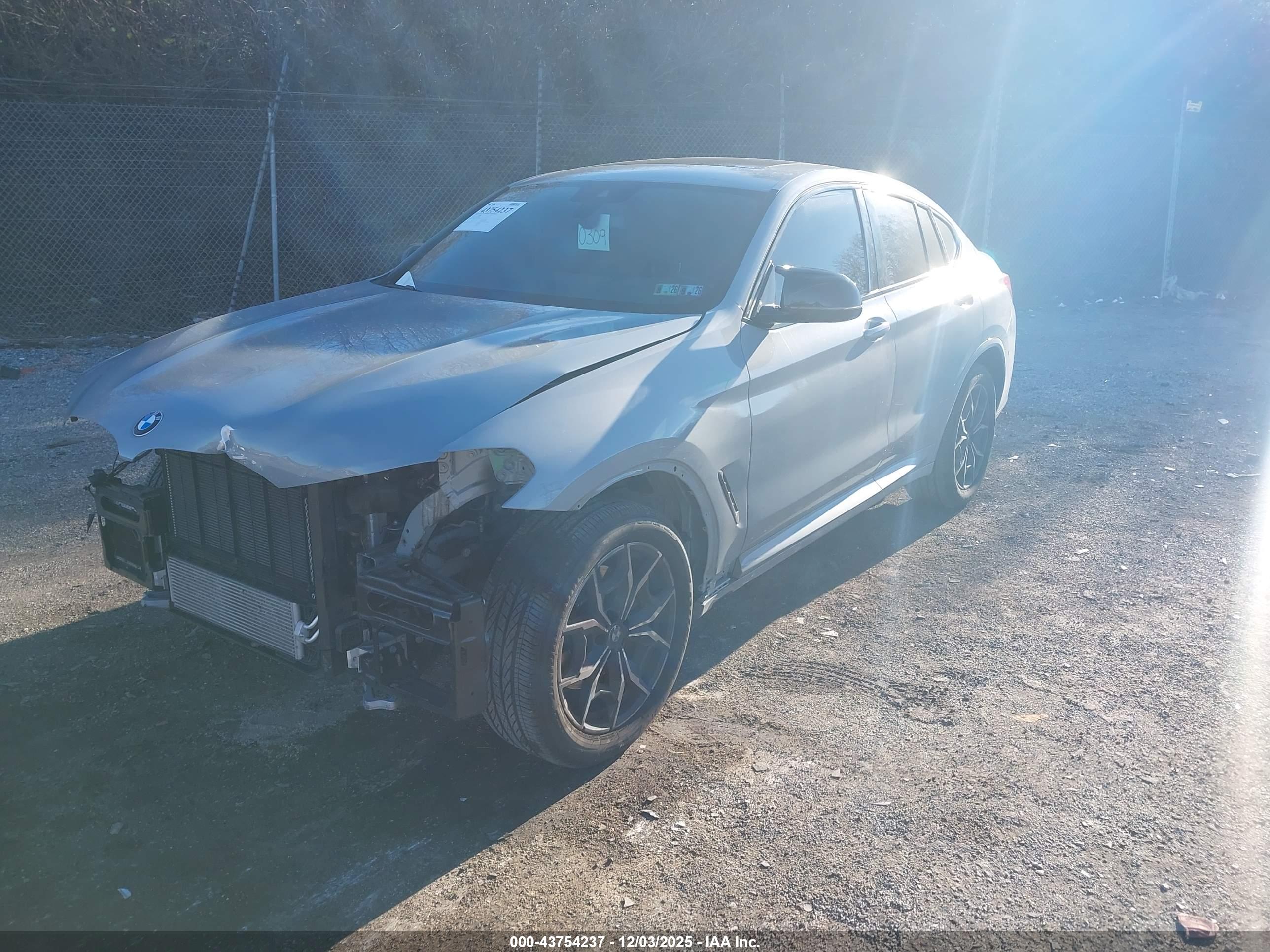 BMW X4 image 2