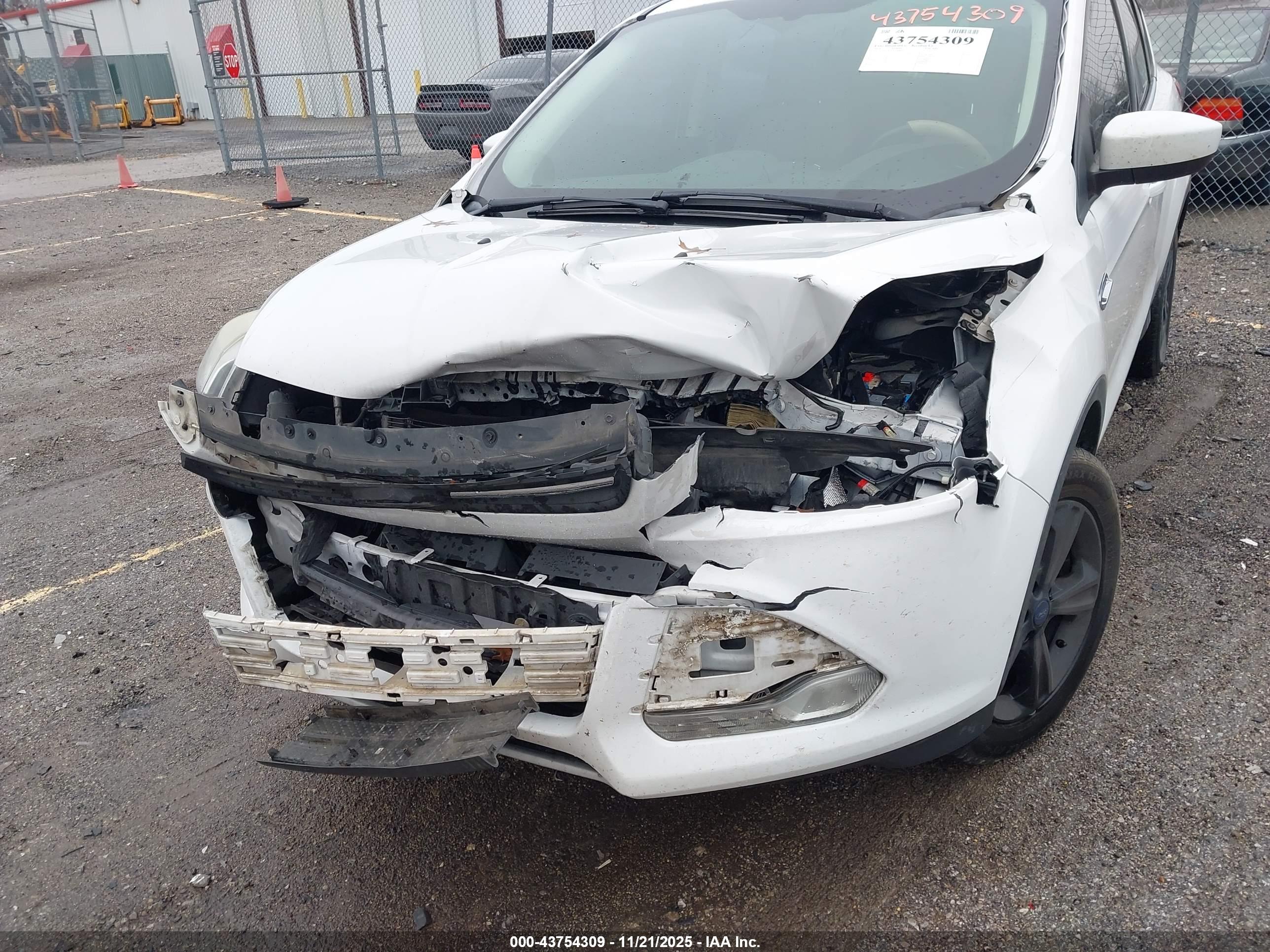 FORD ESCAPE image 6