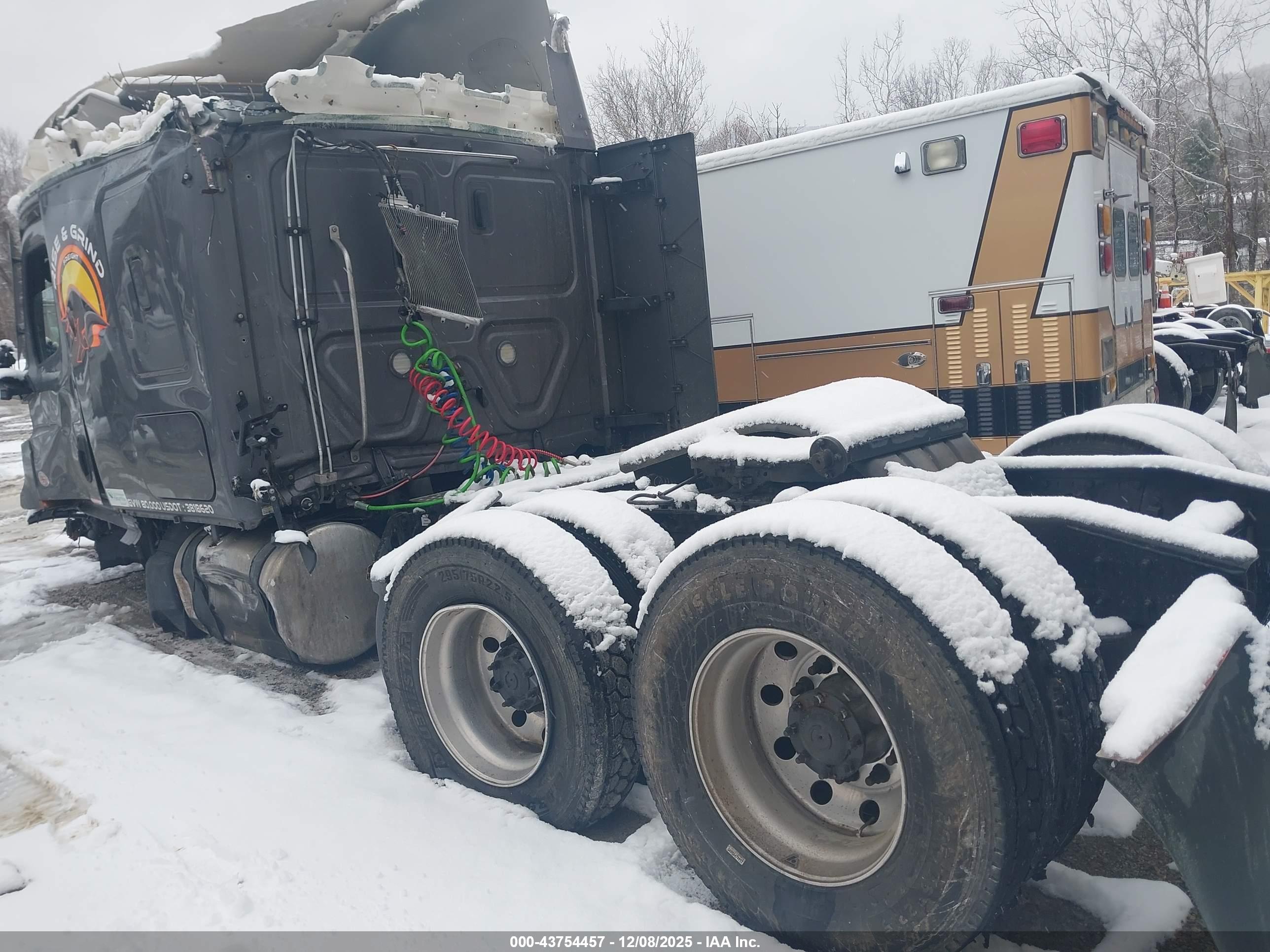 FREIGHTLINER NEW image 3
