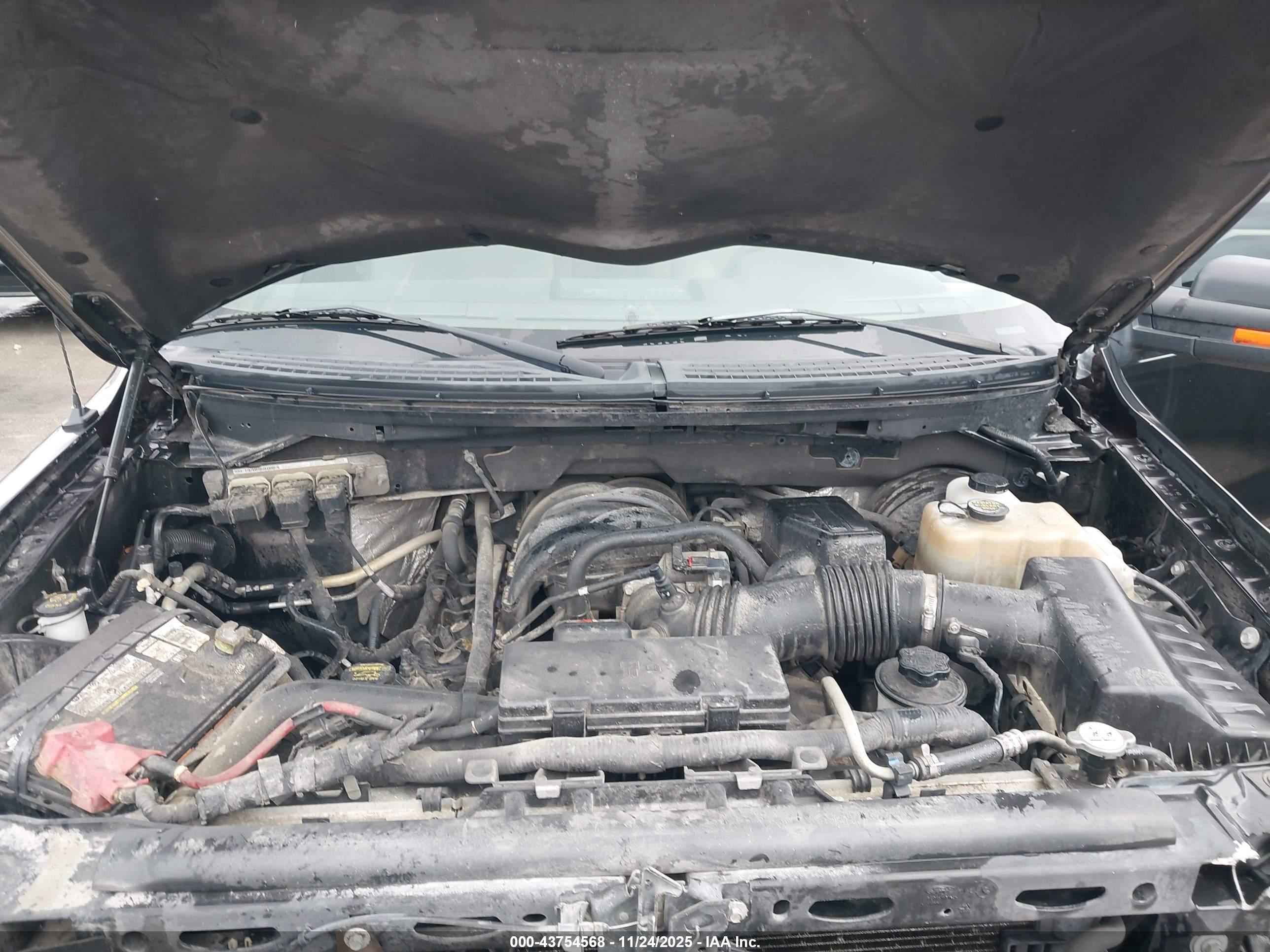 FORD F-150 image 10