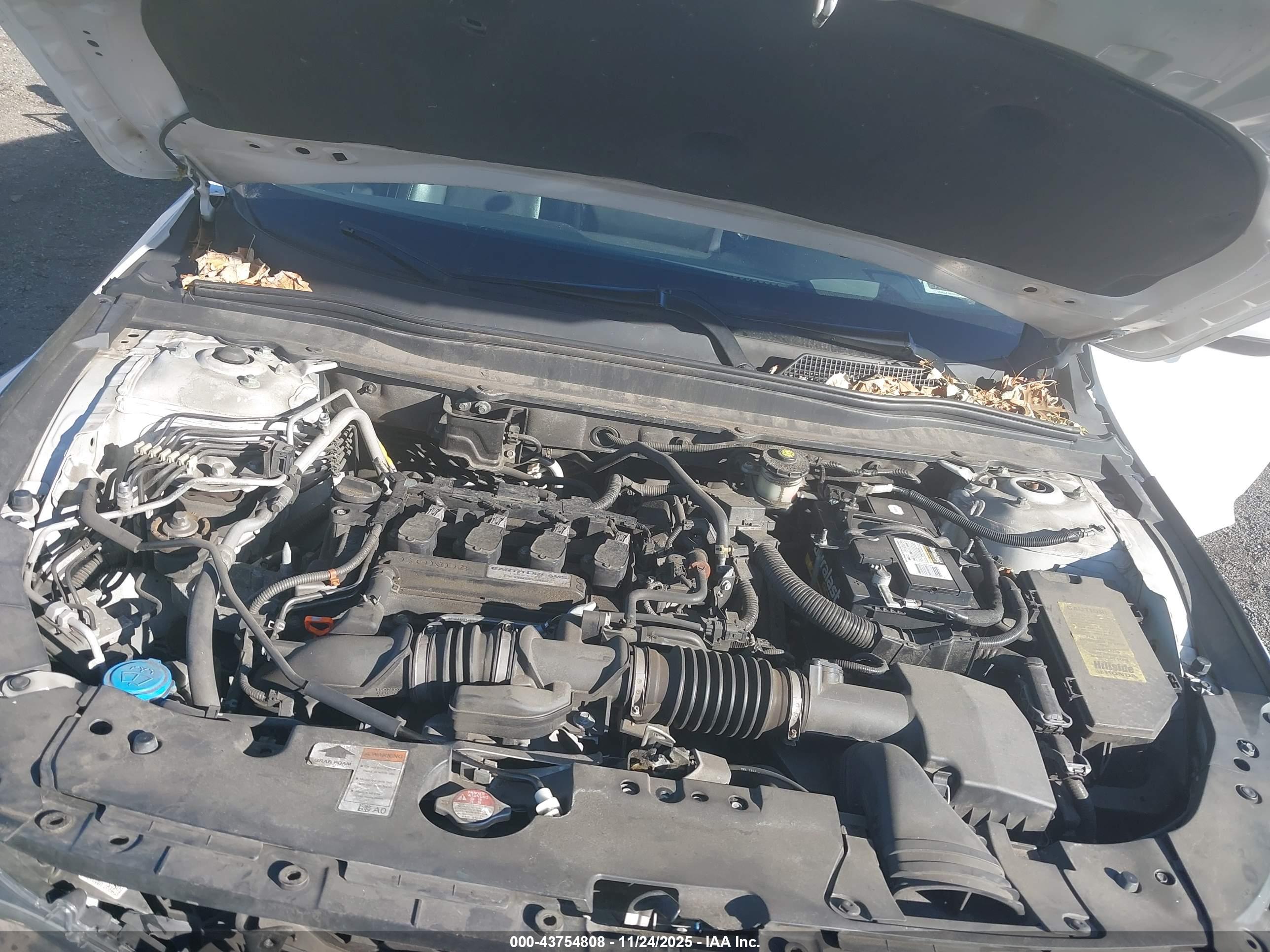 HONDA ACCORD image 10