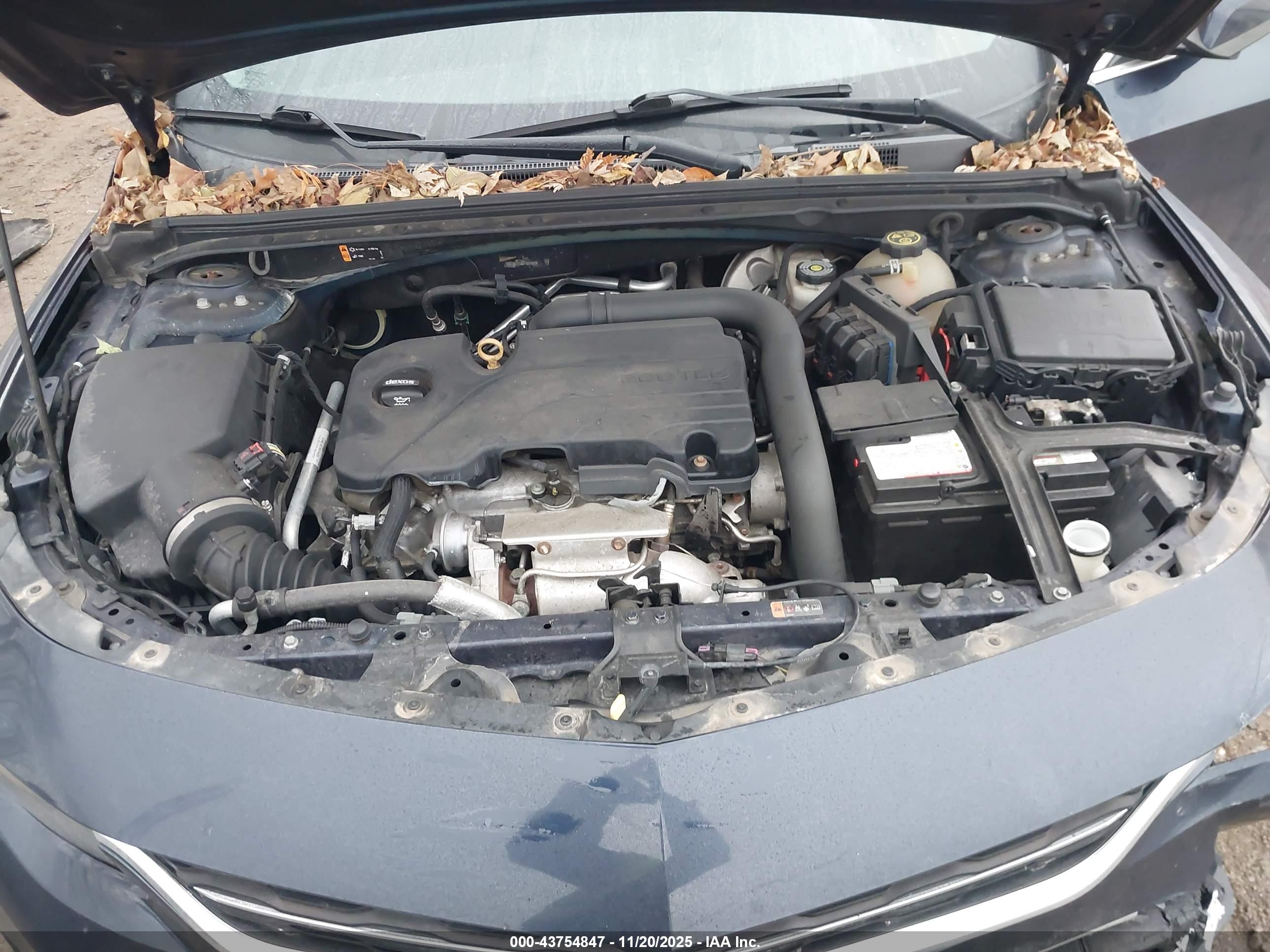 CHEVROLET MALIBU image 10