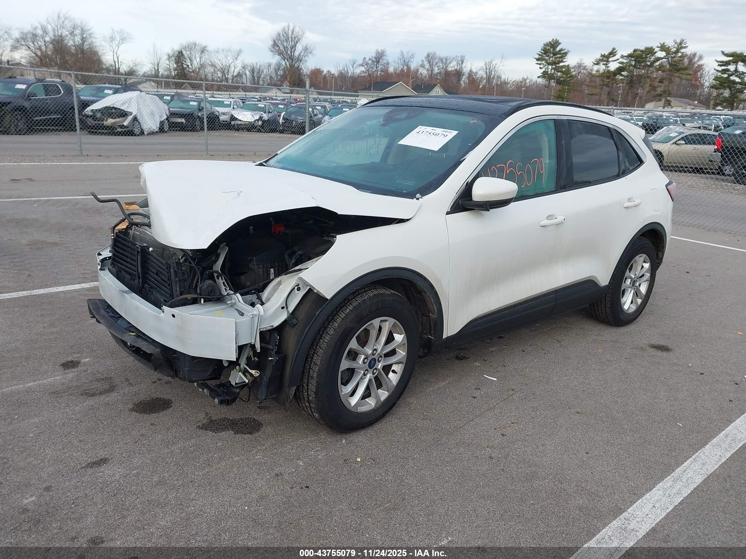 FORD ESCAPE image 2
