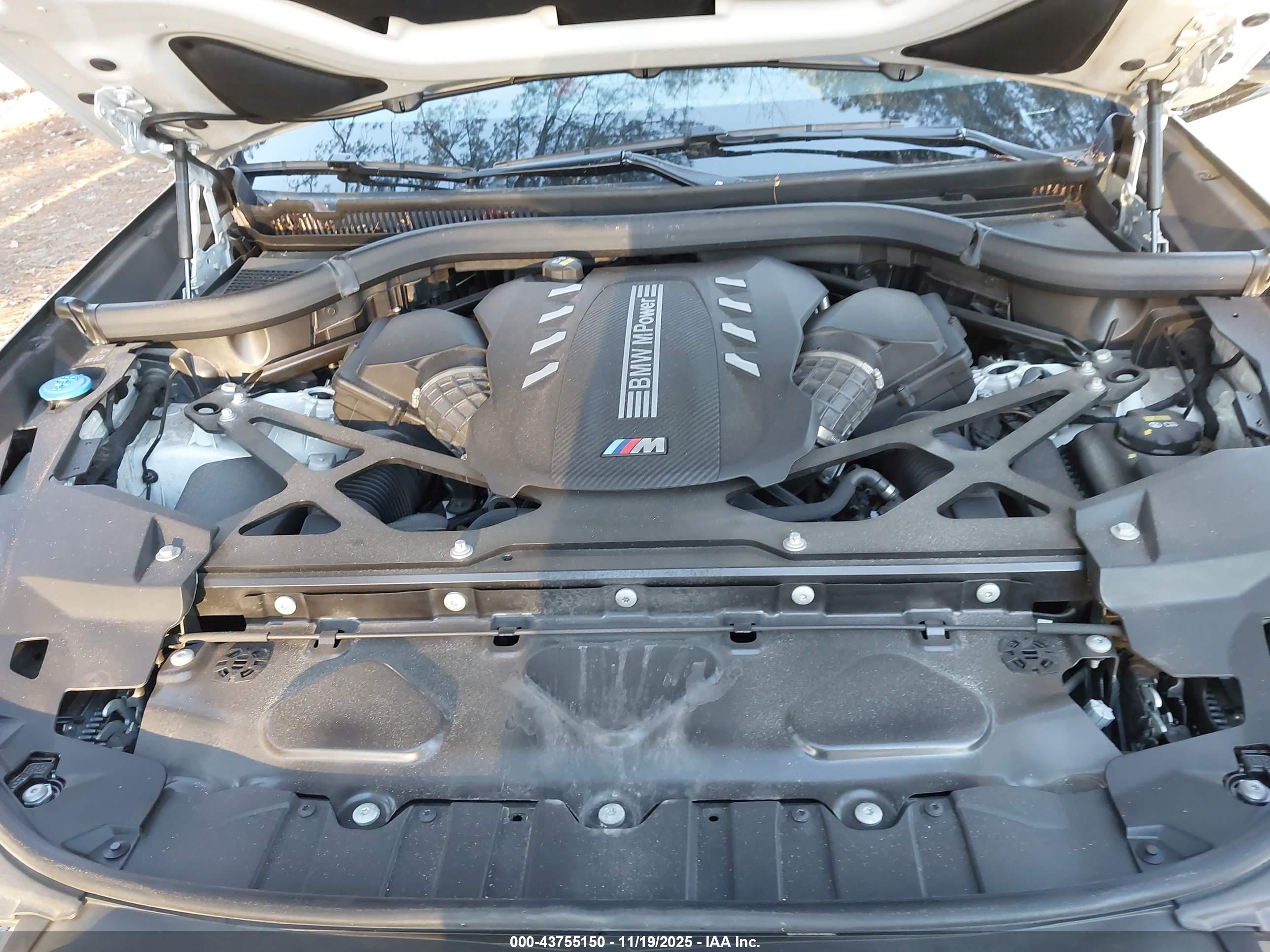 BMW X6 image 10