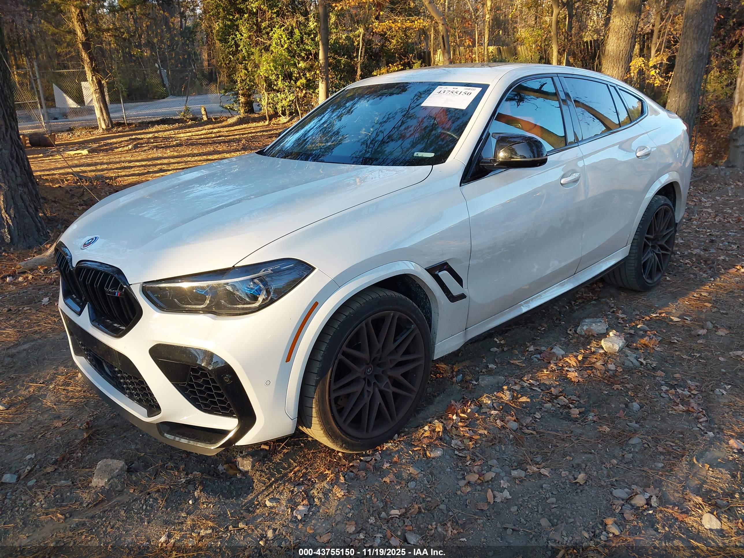 BMW X6 image 2