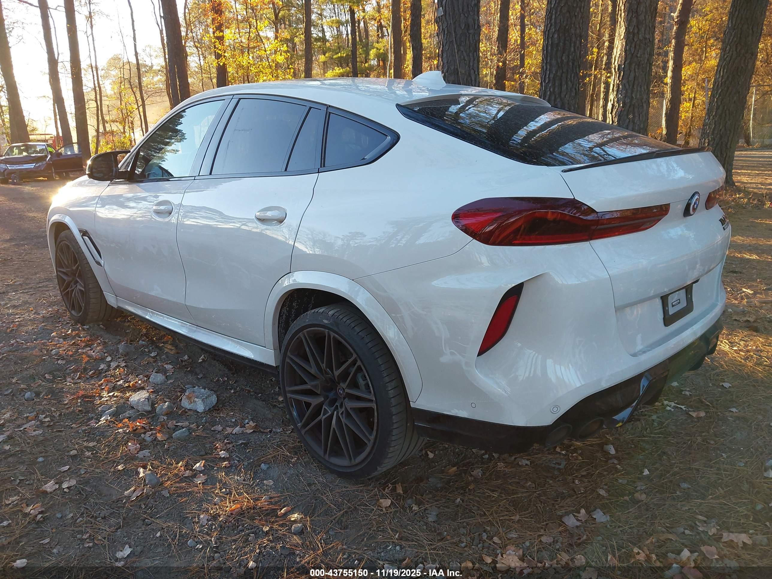 BMW X6 image 3