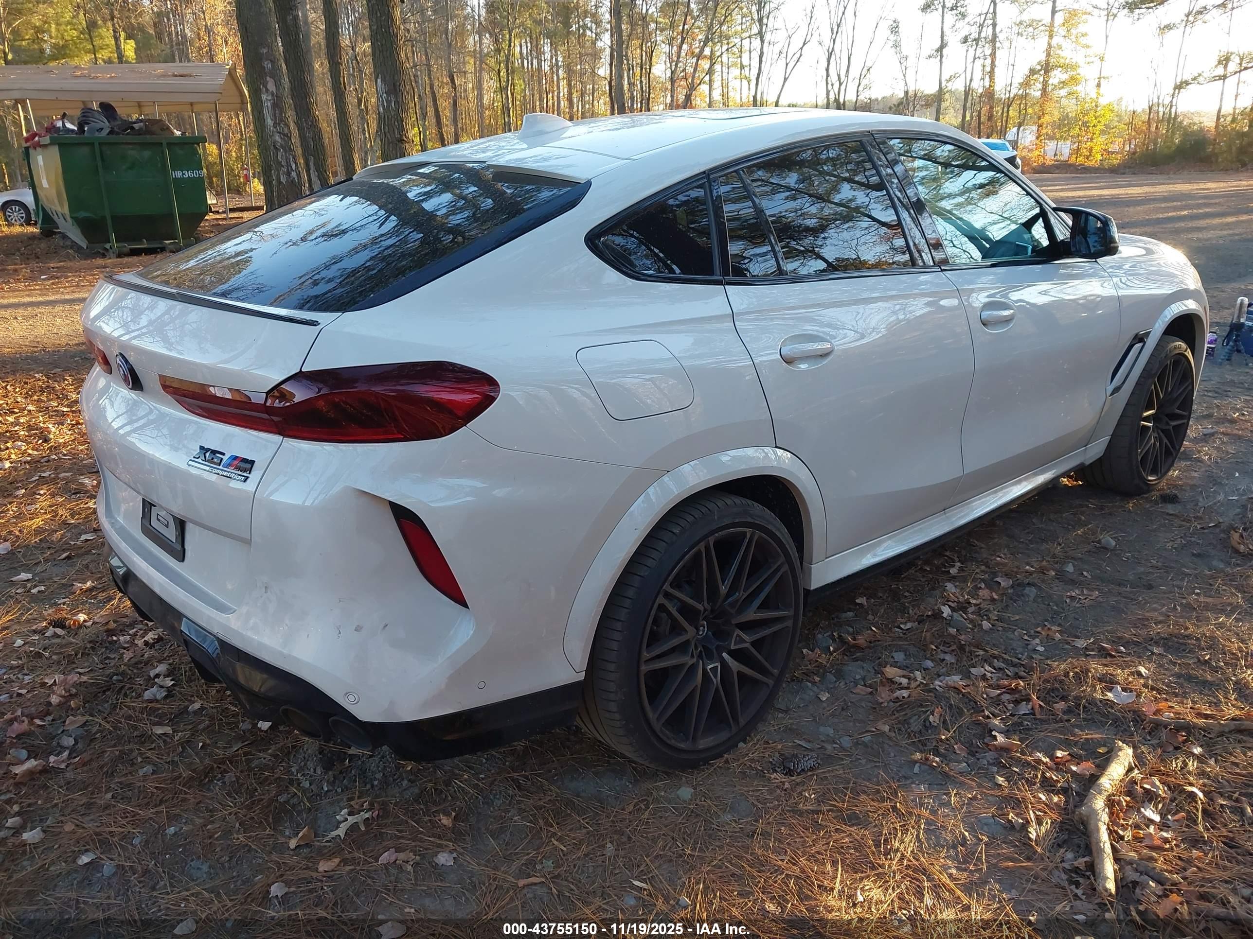 BMW X6 image 4