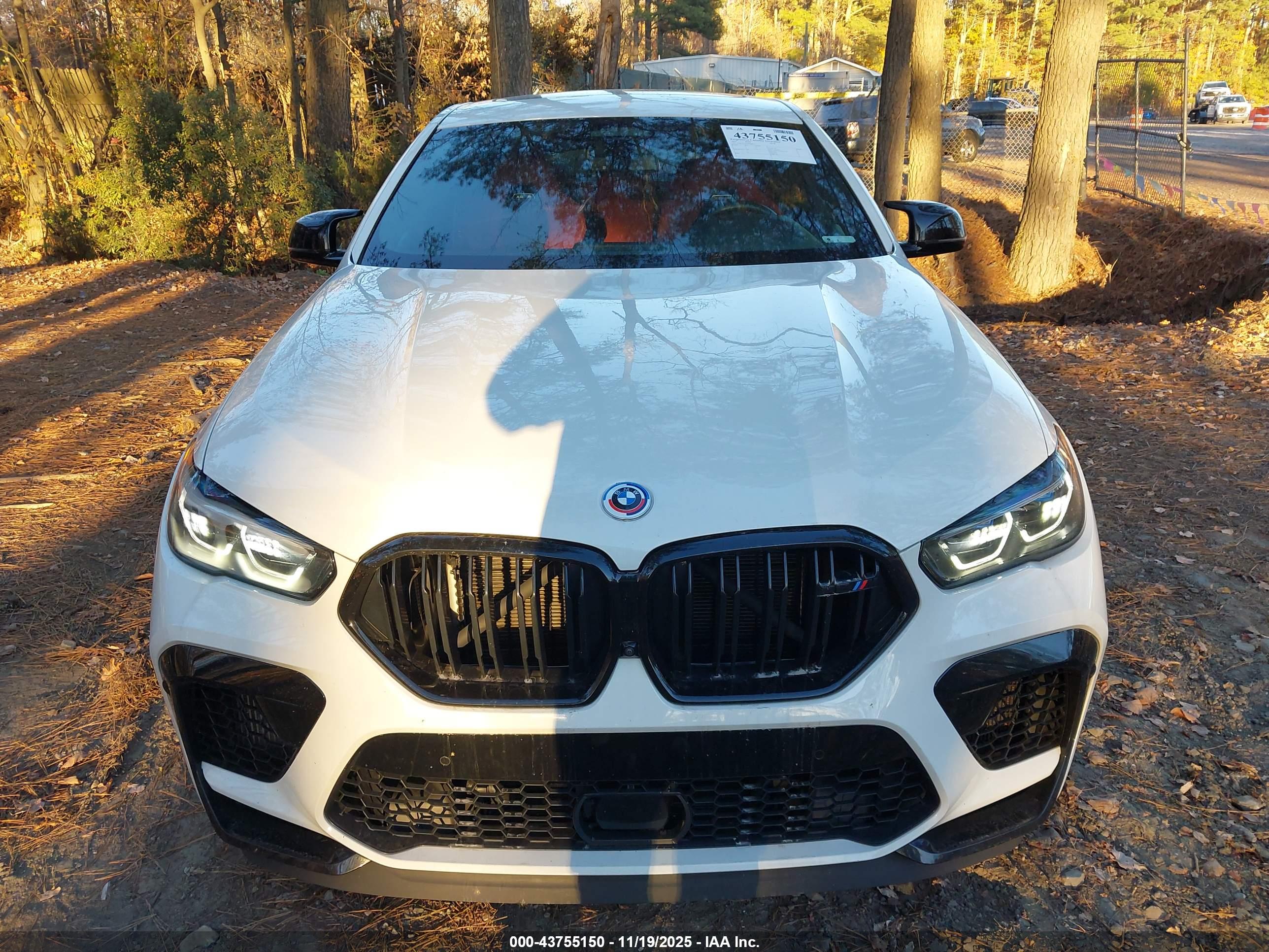 BMW X6 image 6