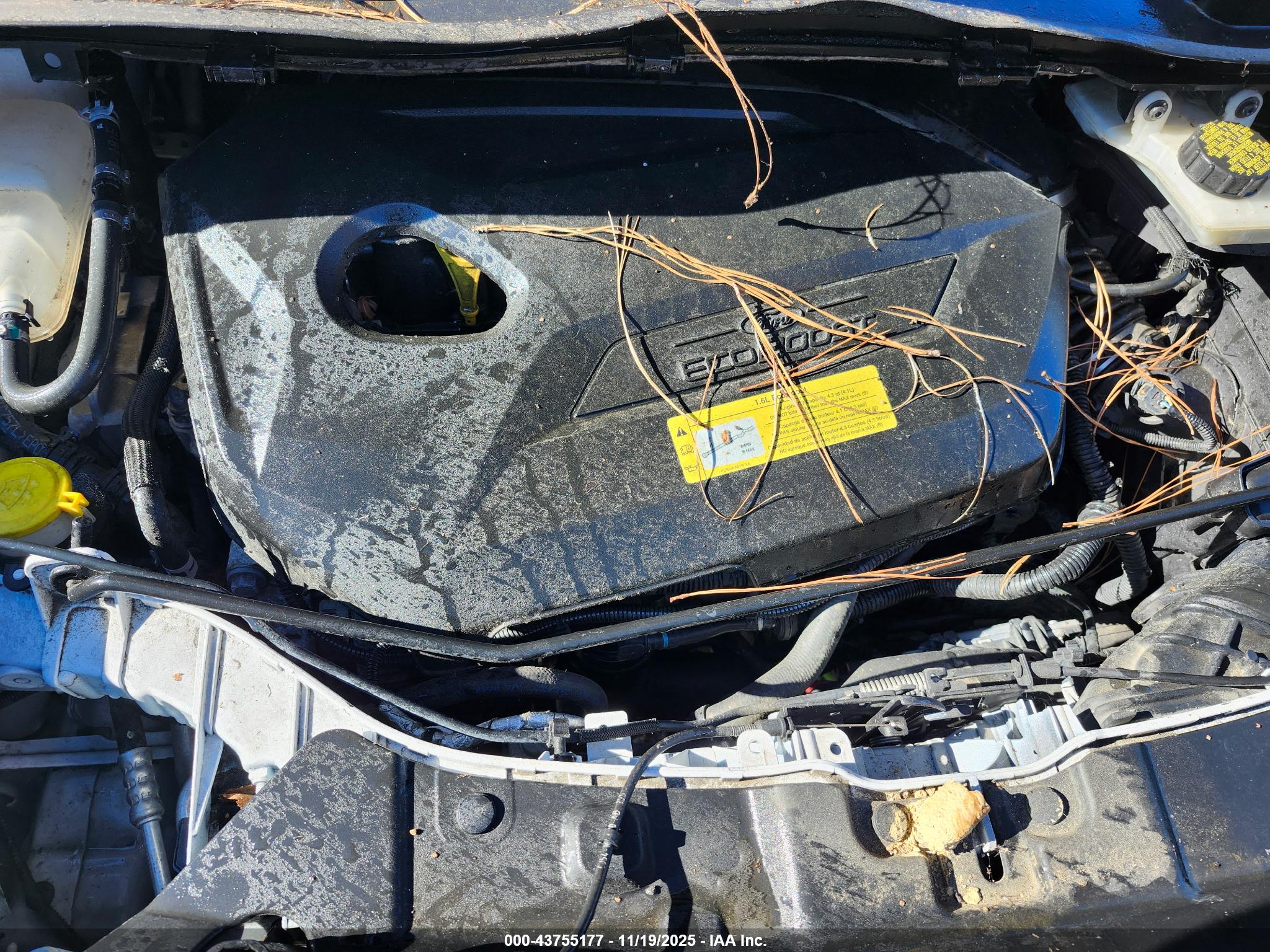 FORD ESCAPE image 10