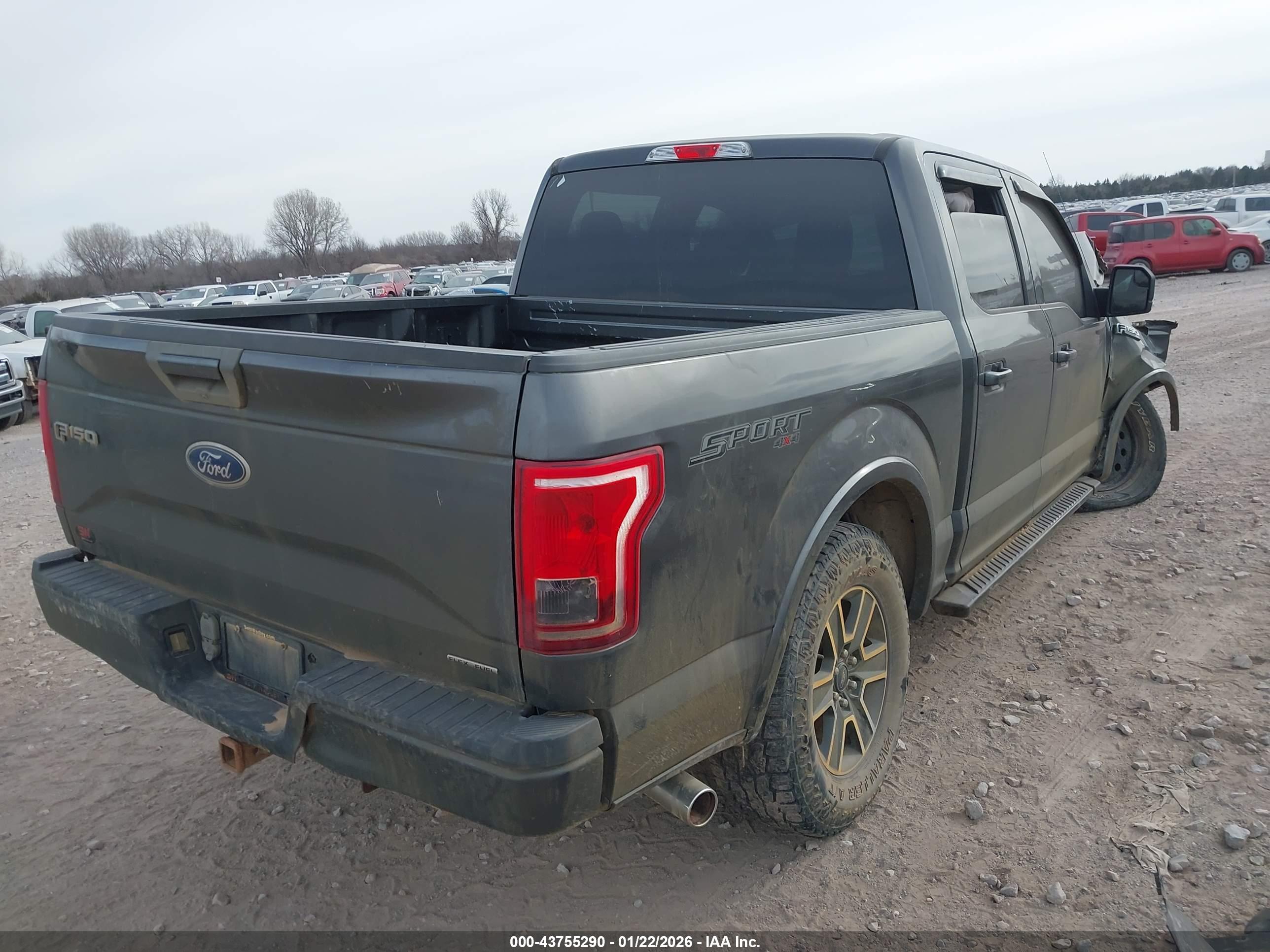 FORD F-150 image 4