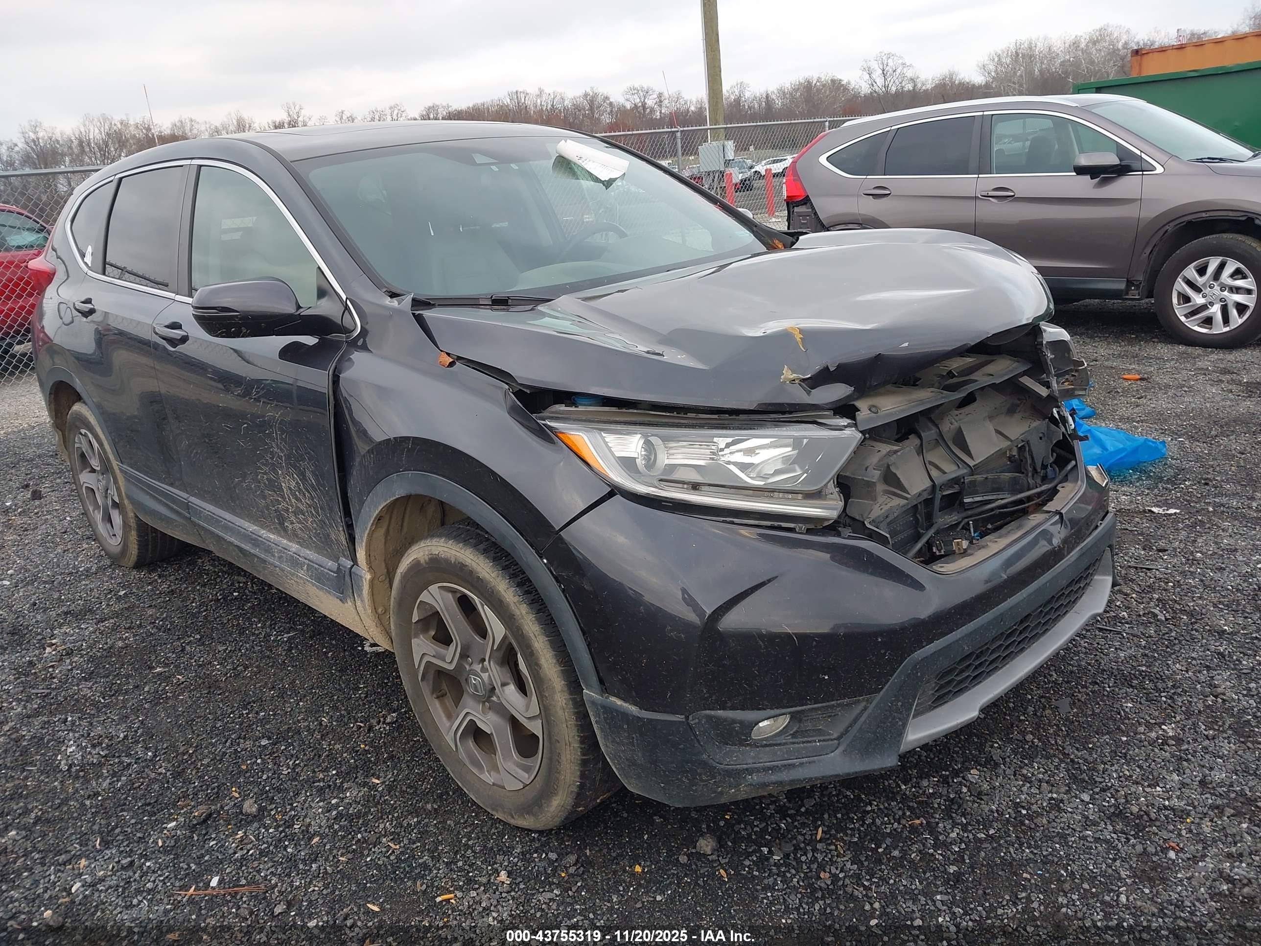 HONDA CR-V image 6
