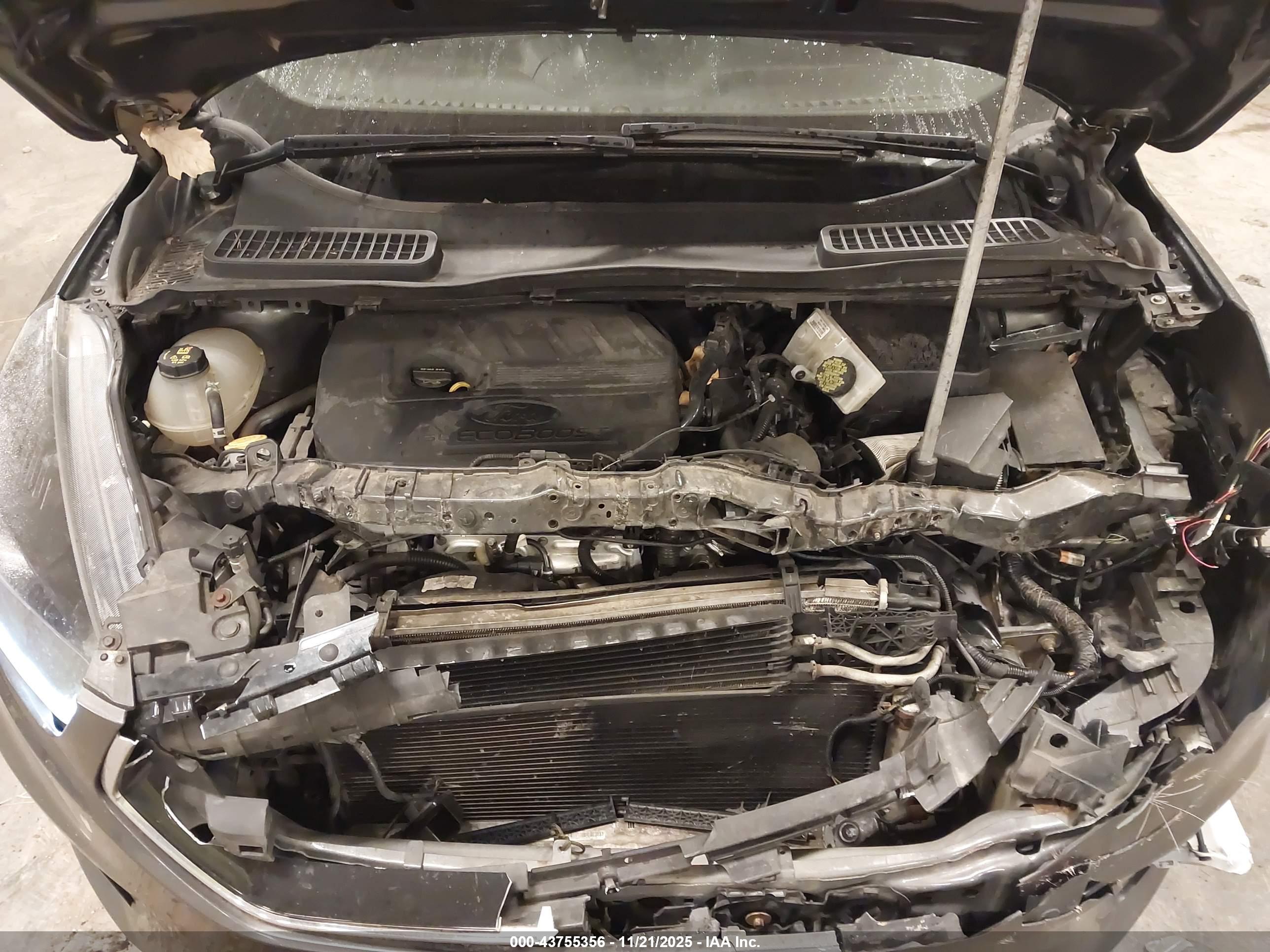FORD ESCAPE image 10