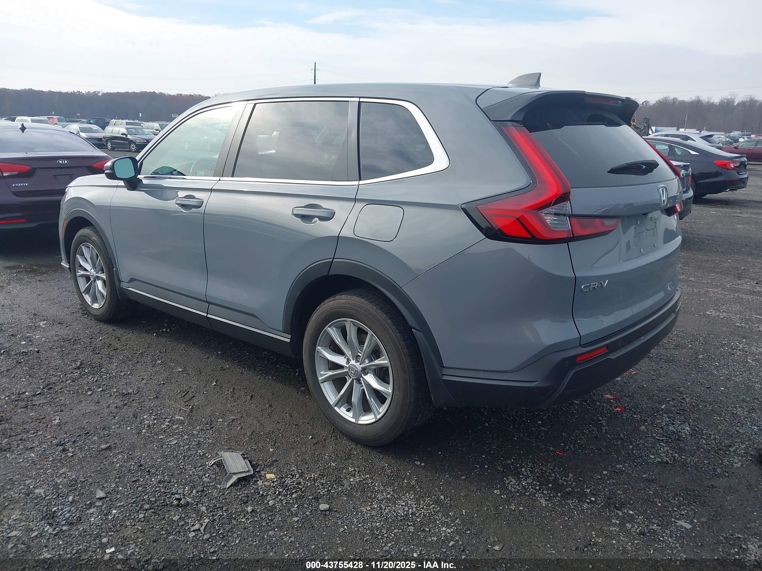 HONDA CR-V image 3