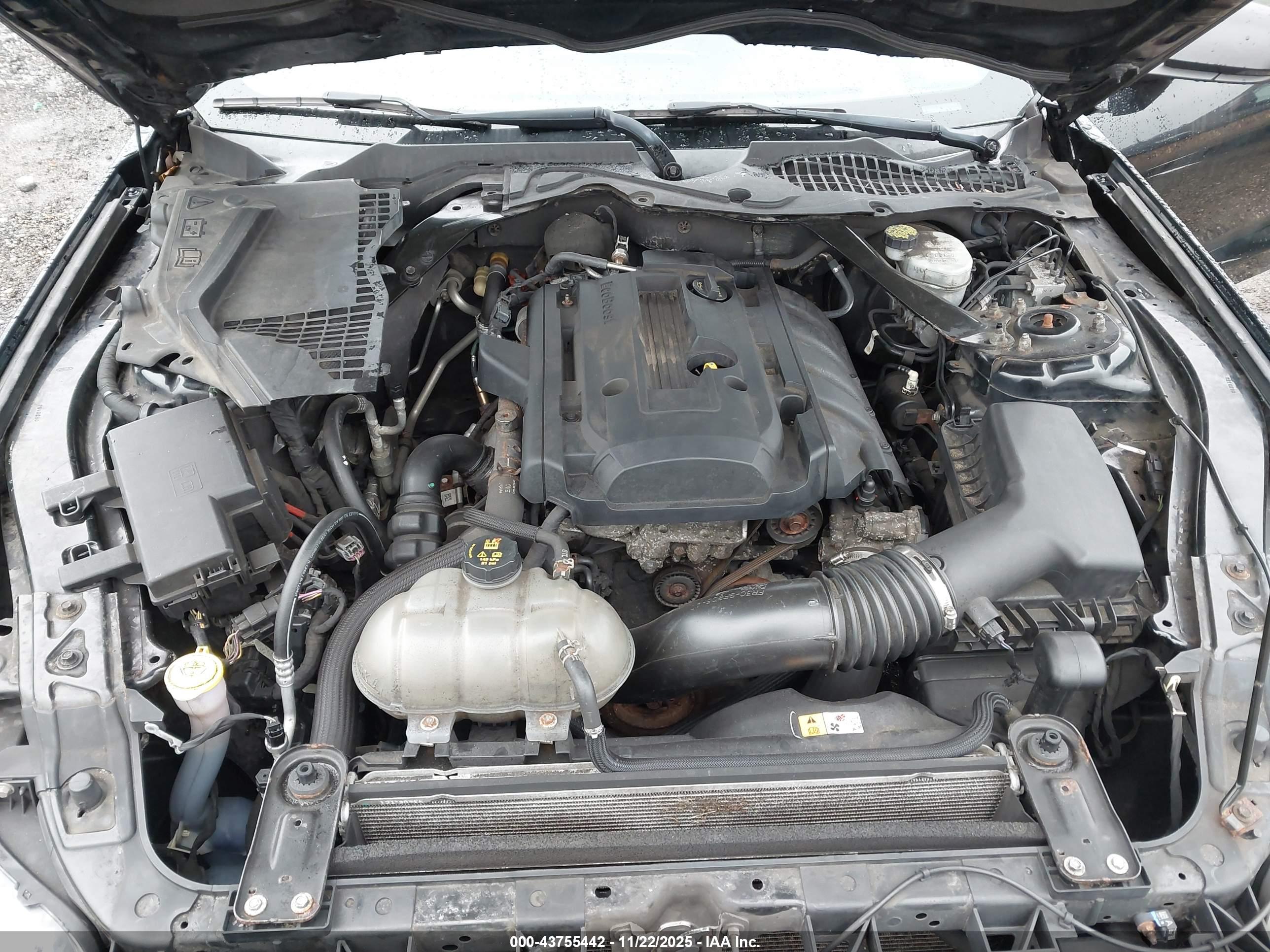 FORD MUSTANG image 10
