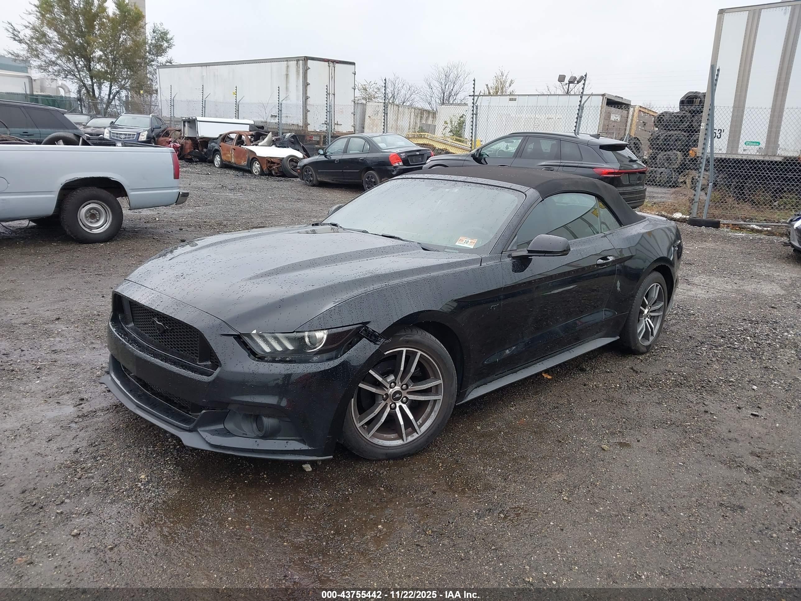 FORD MUSTANG image 2
