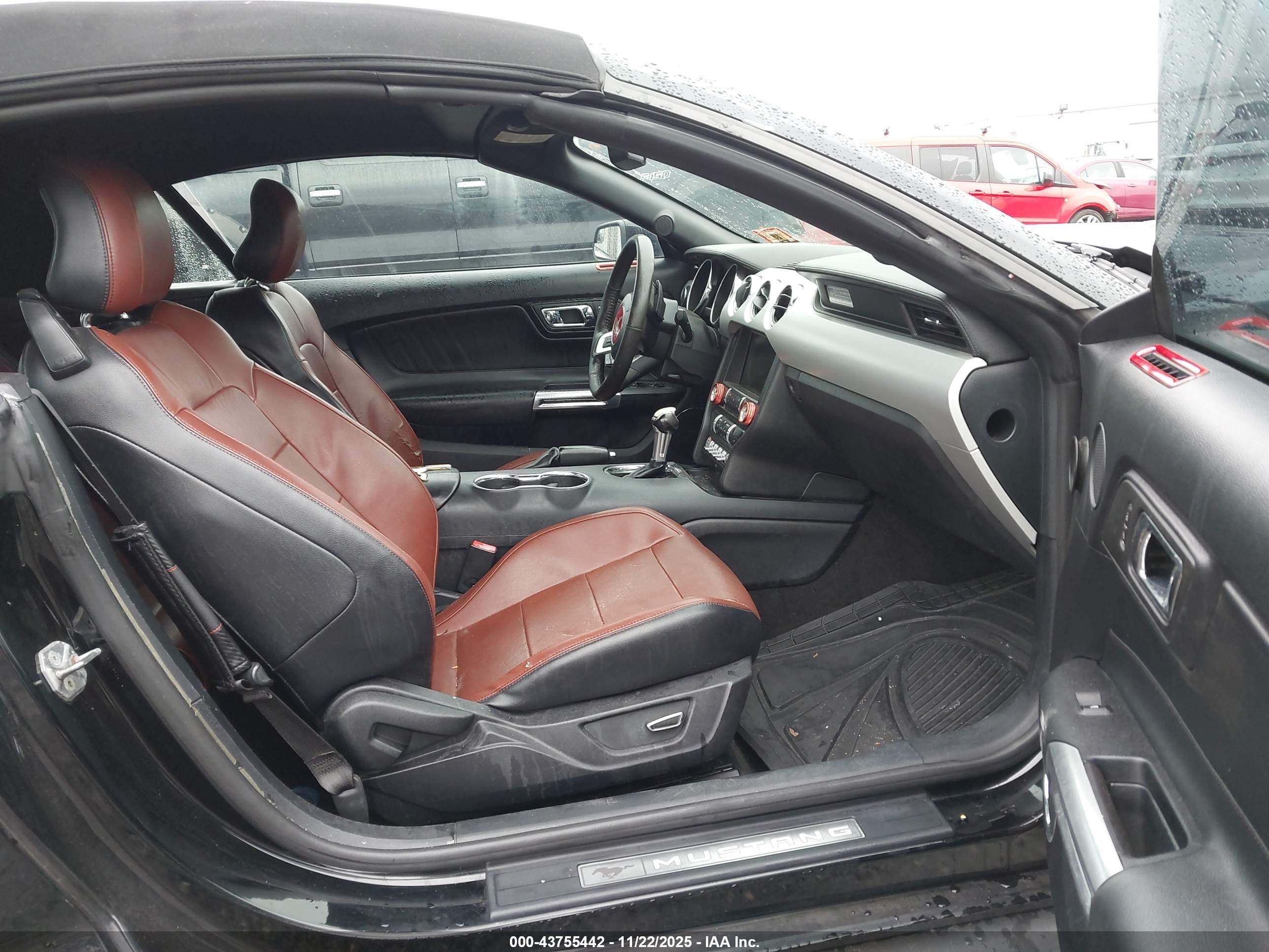FORD MUSTANG image 5