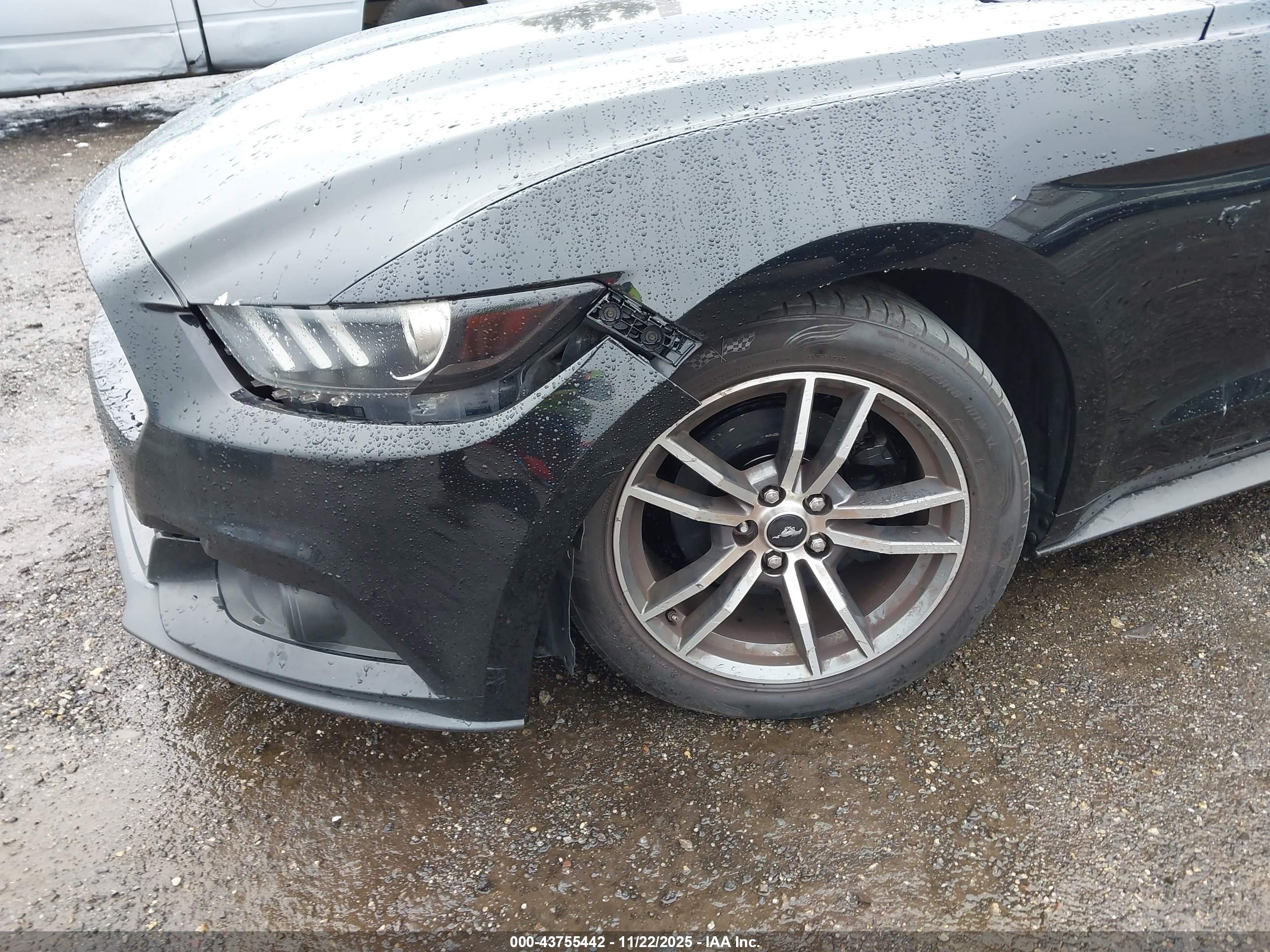 FORD MUSTANG image 6