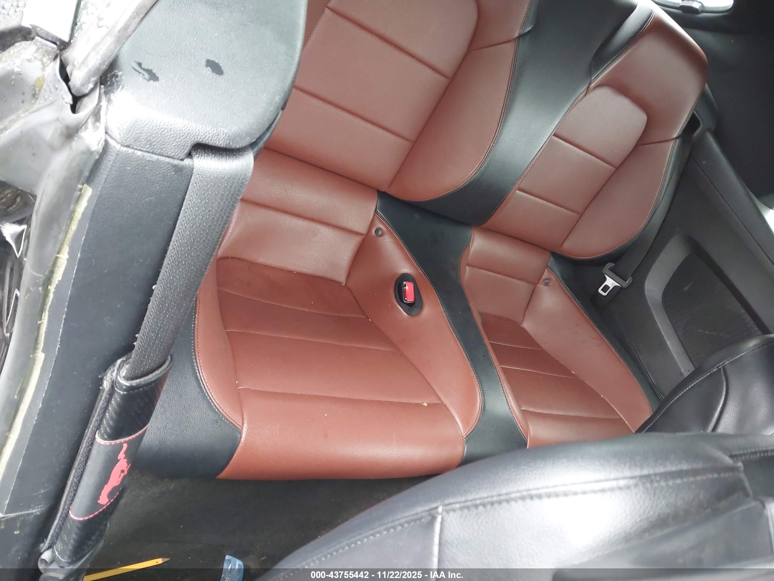 FORD MUSTANG image 8
