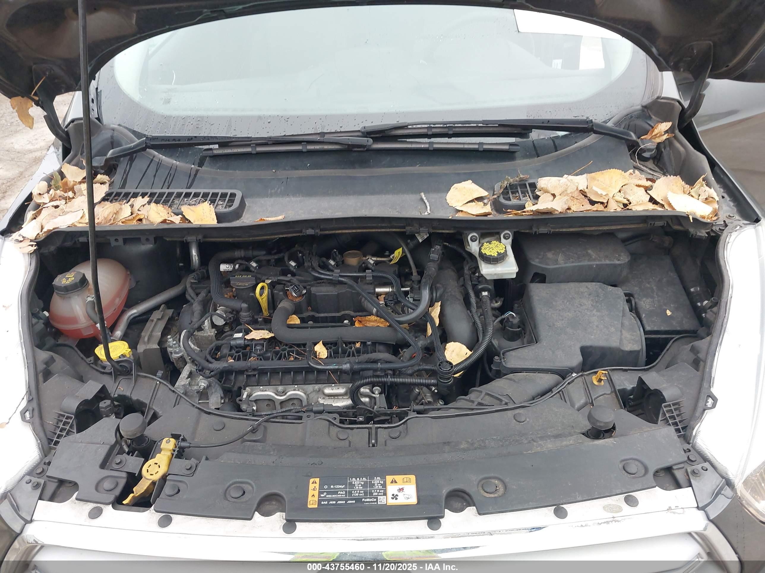 FORD ESCAPE image 10