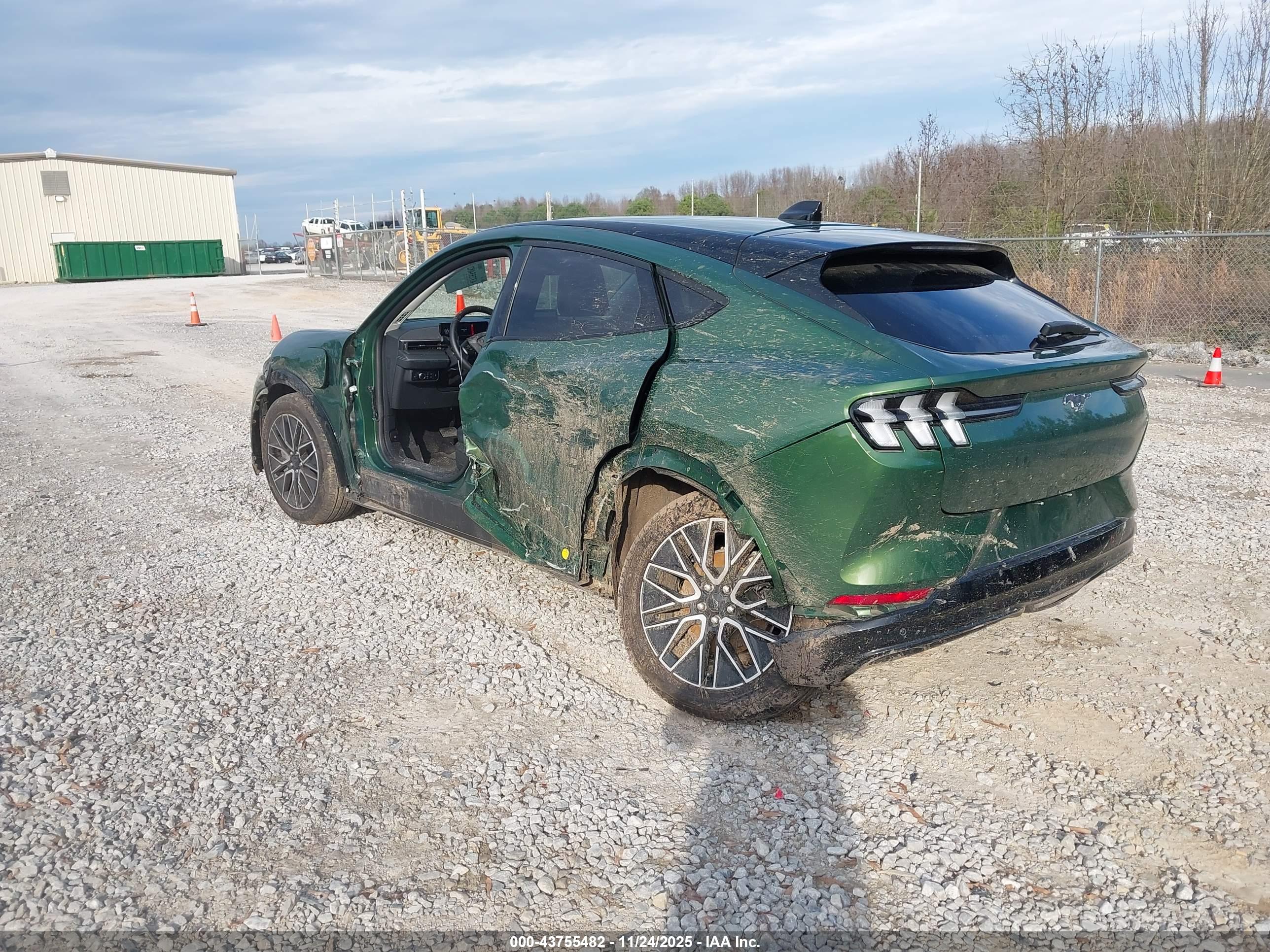 FORD MUSTANG image 3
