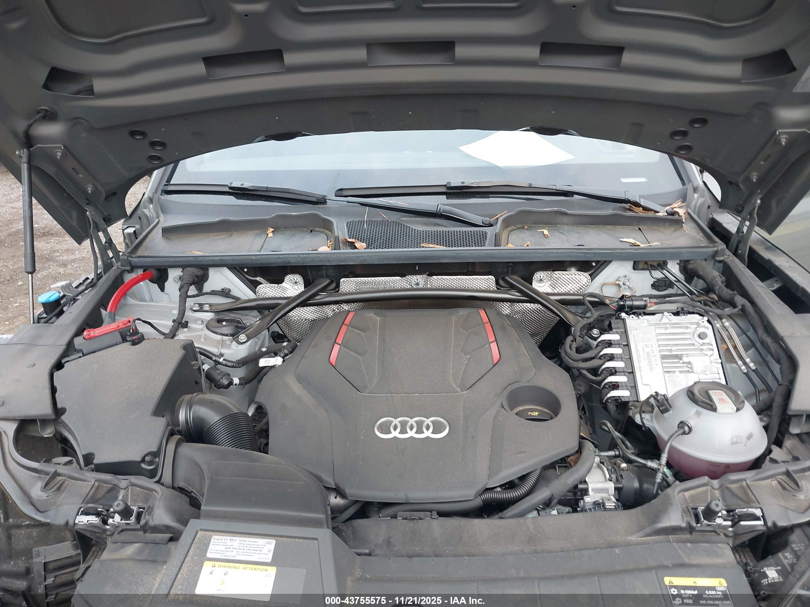 AUDI SQ5 image 10