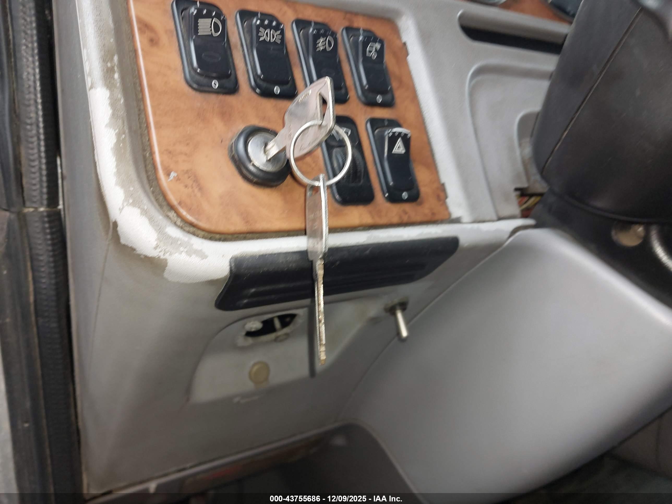 PETERBILT 386 image 11