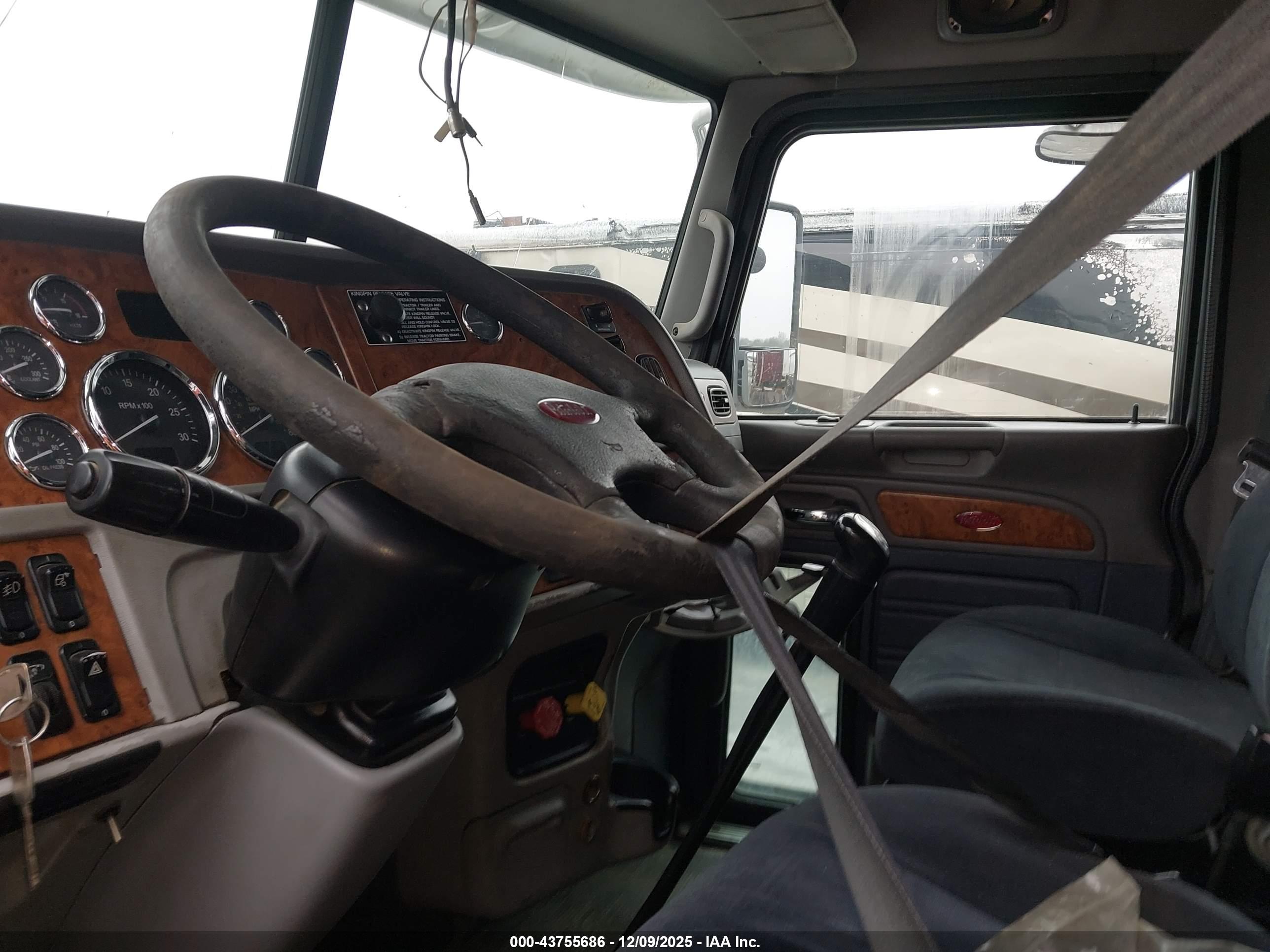 PETERBILT 386 image 8