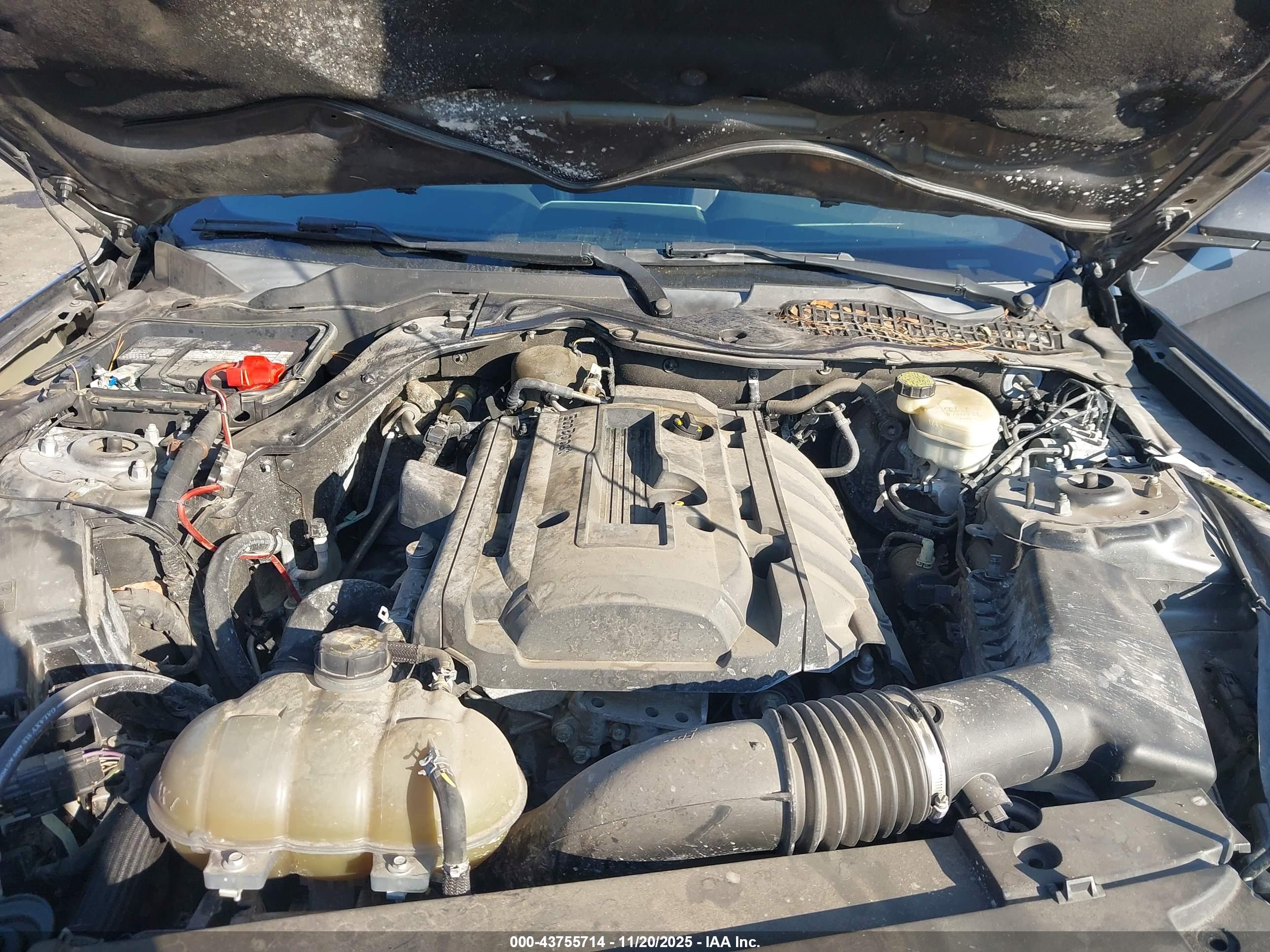 FORD MUSTANG image 10