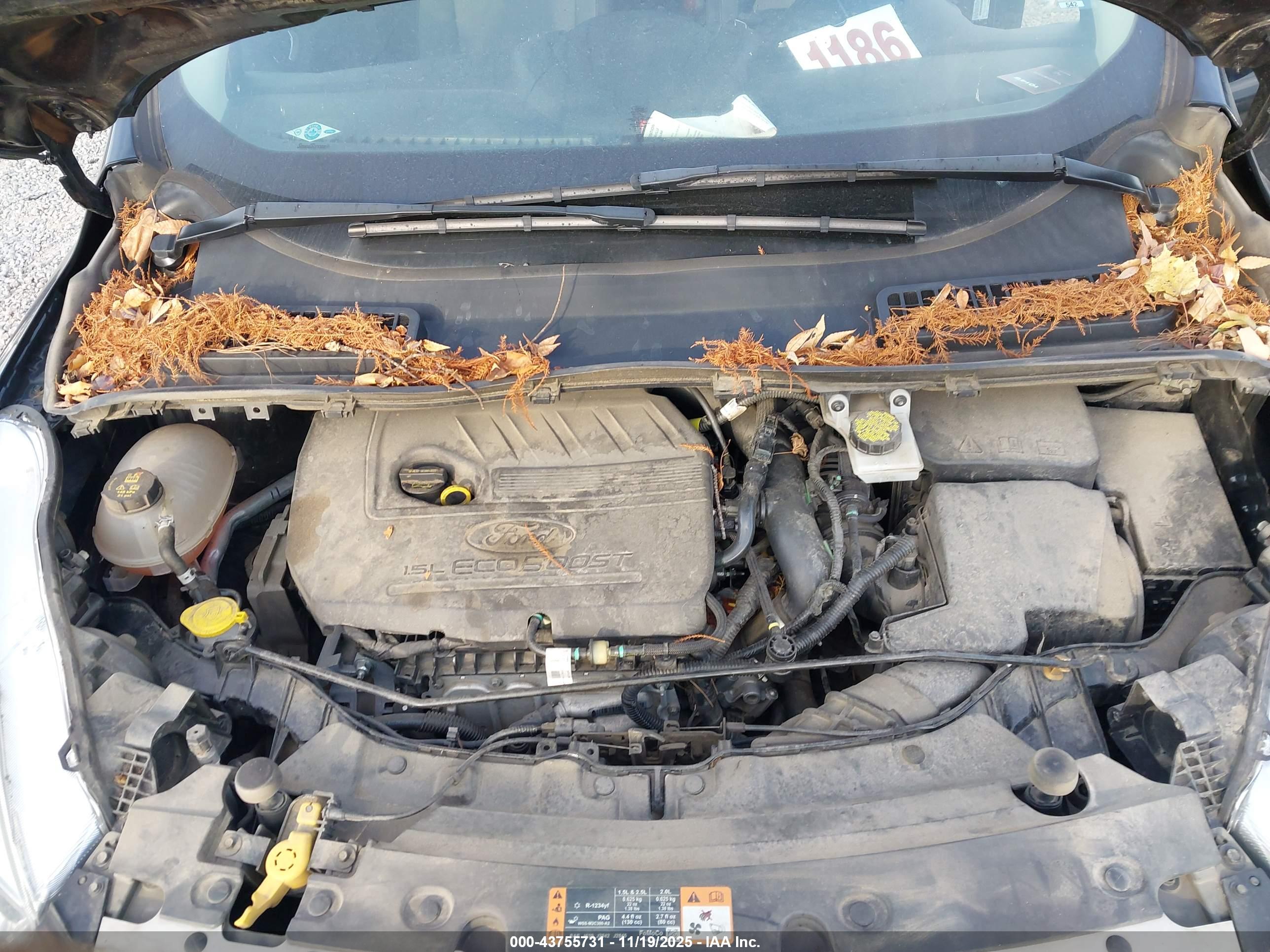FORD ESCAPE image 10