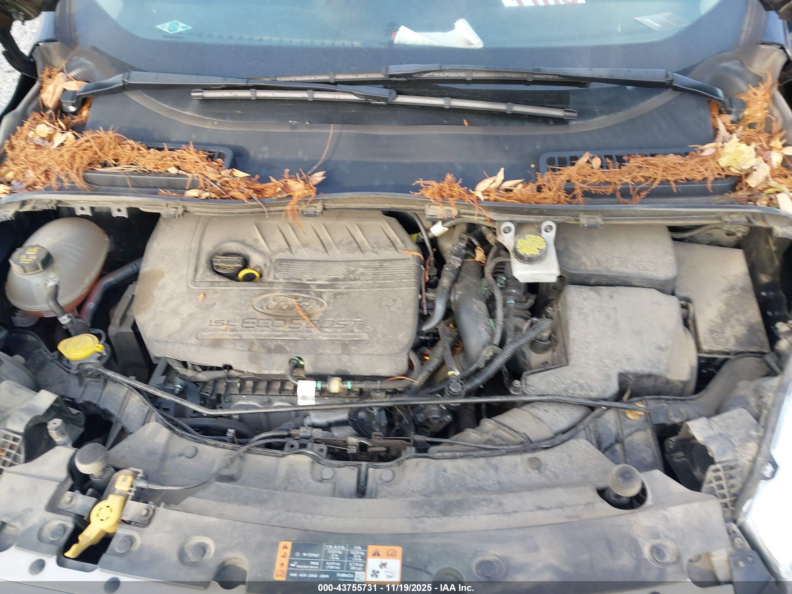 FORD ESCAPE image 6