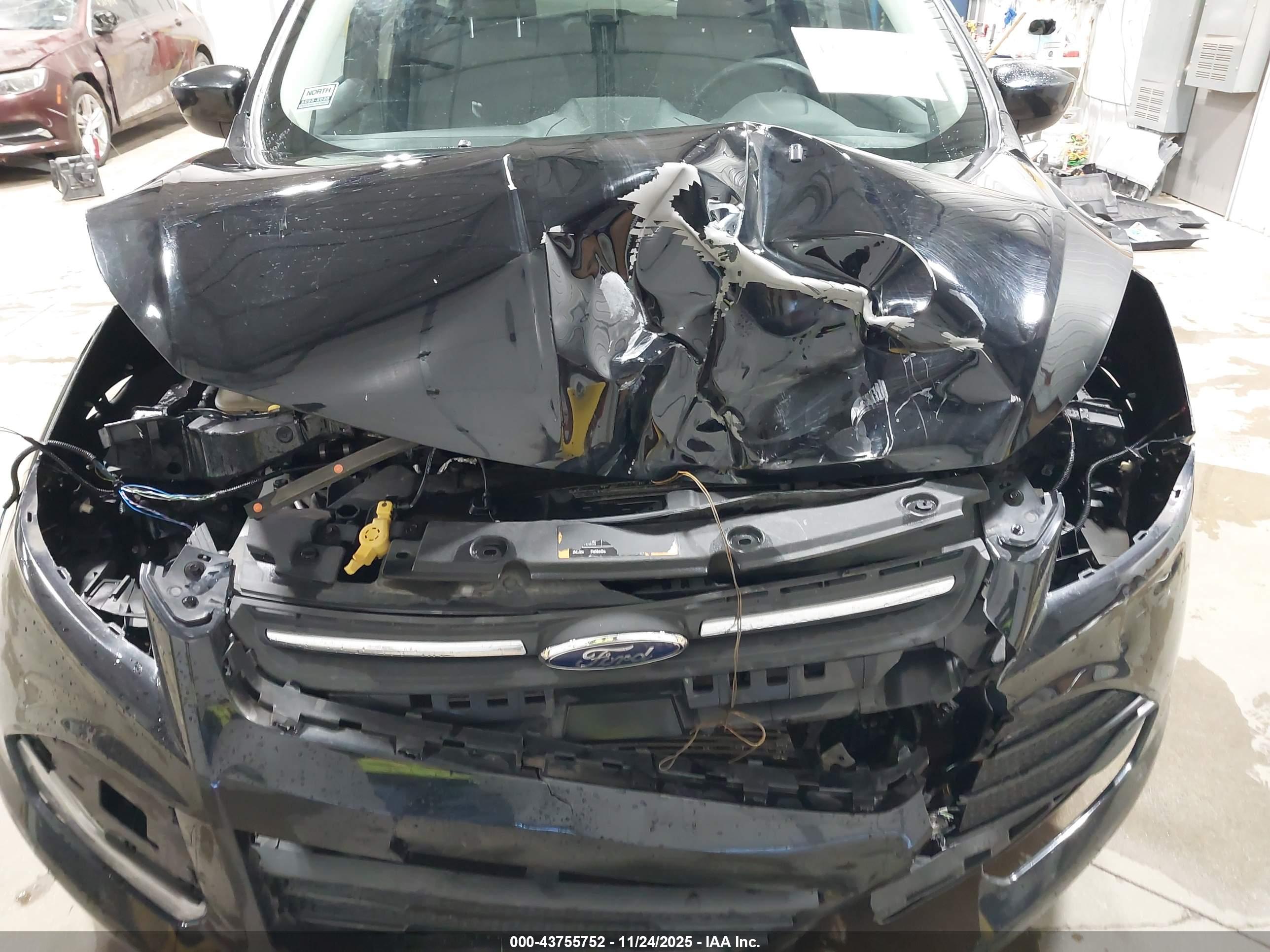 FORD ESCAPE image 6