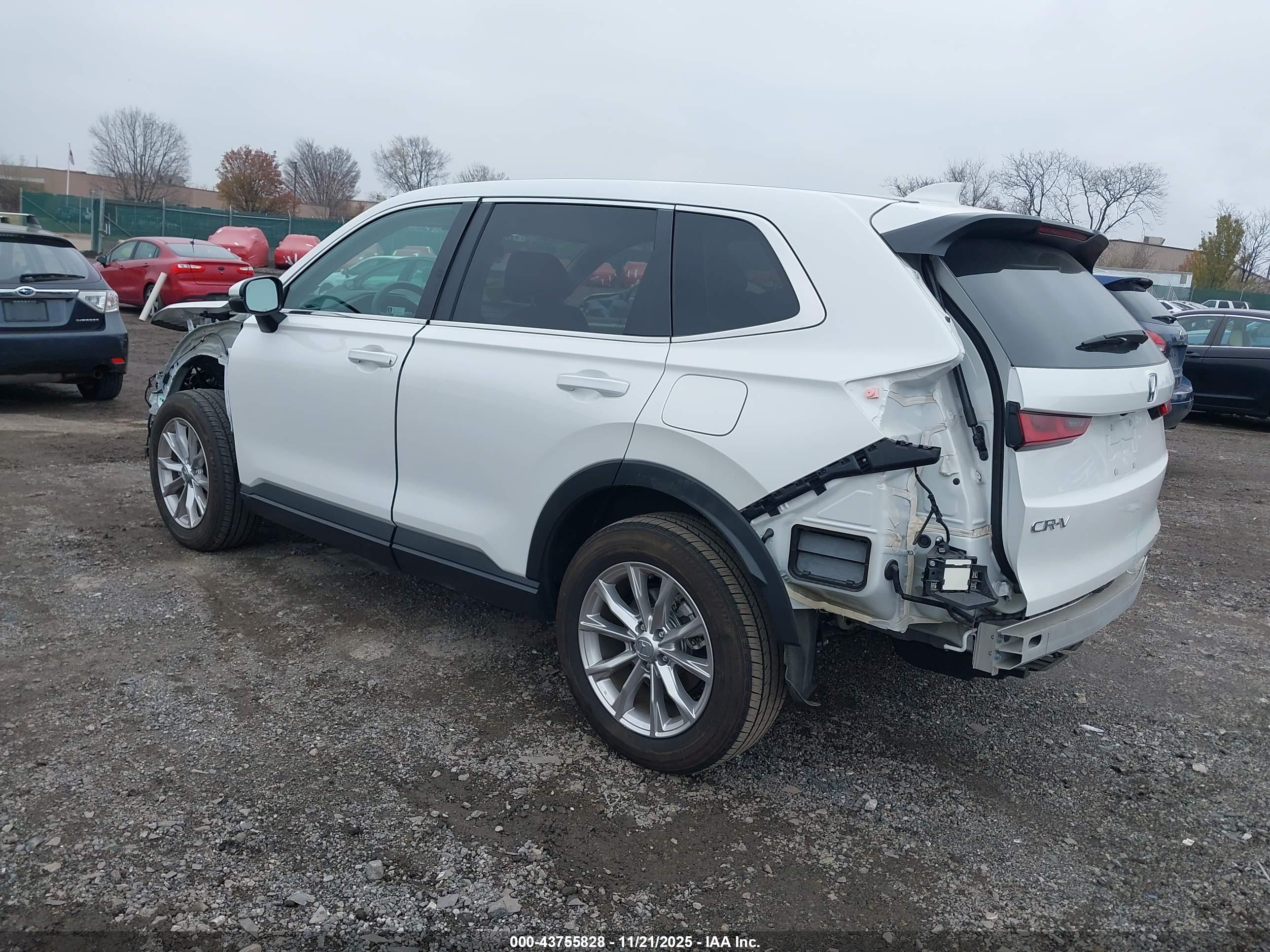 HONDA CR-V image 3