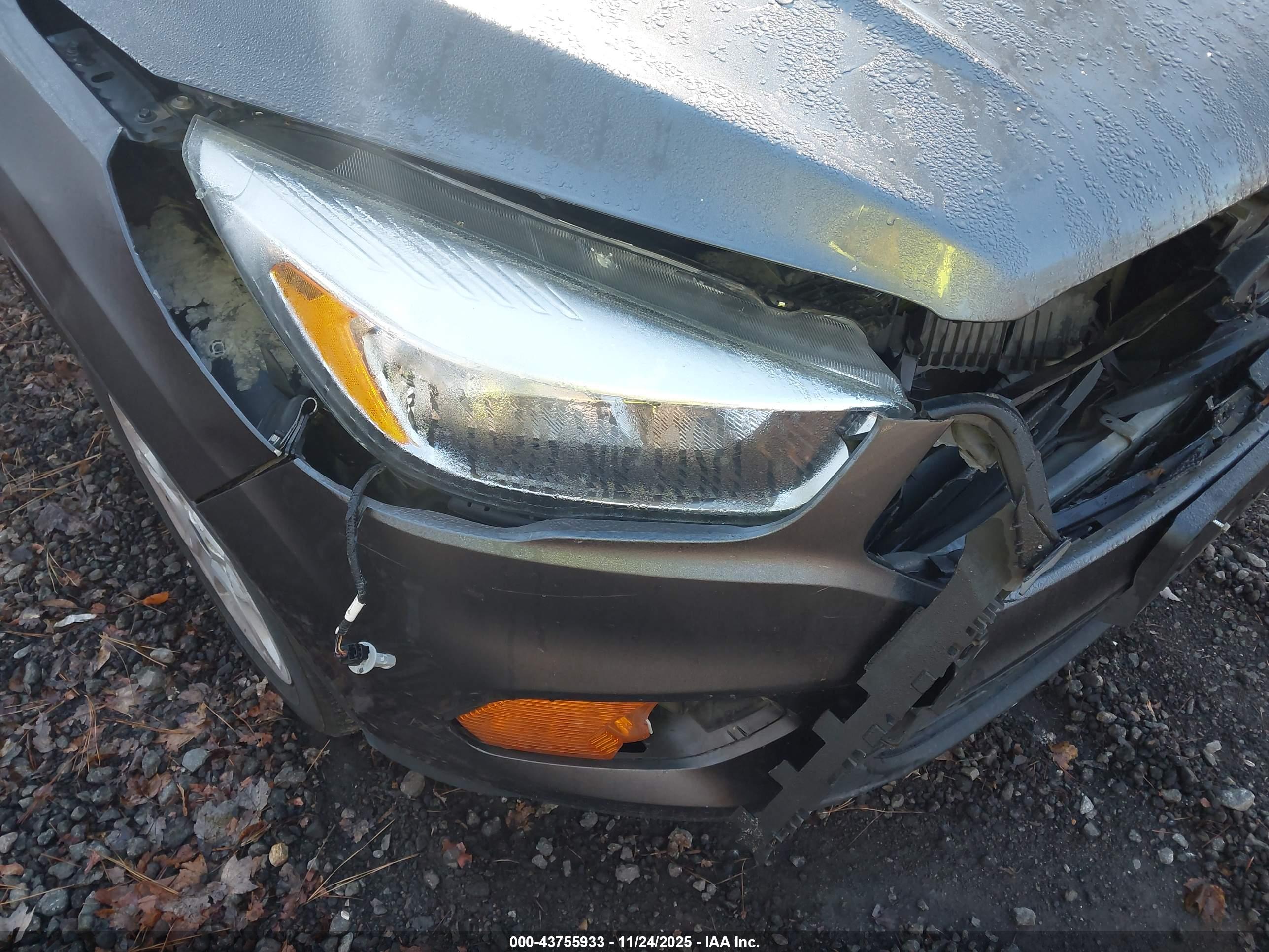 FORD ESCAPE image 6