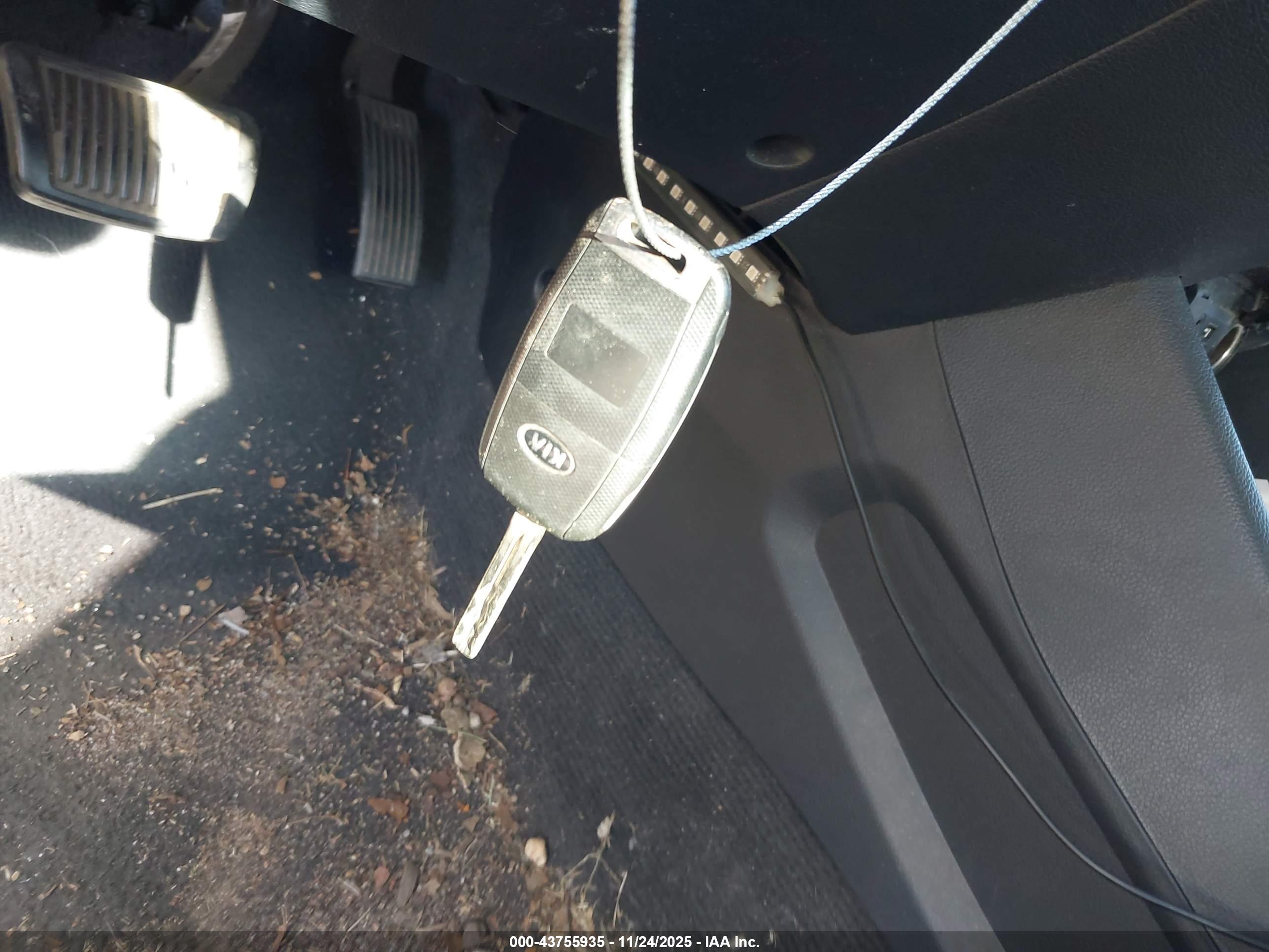 KIA RIO image 11