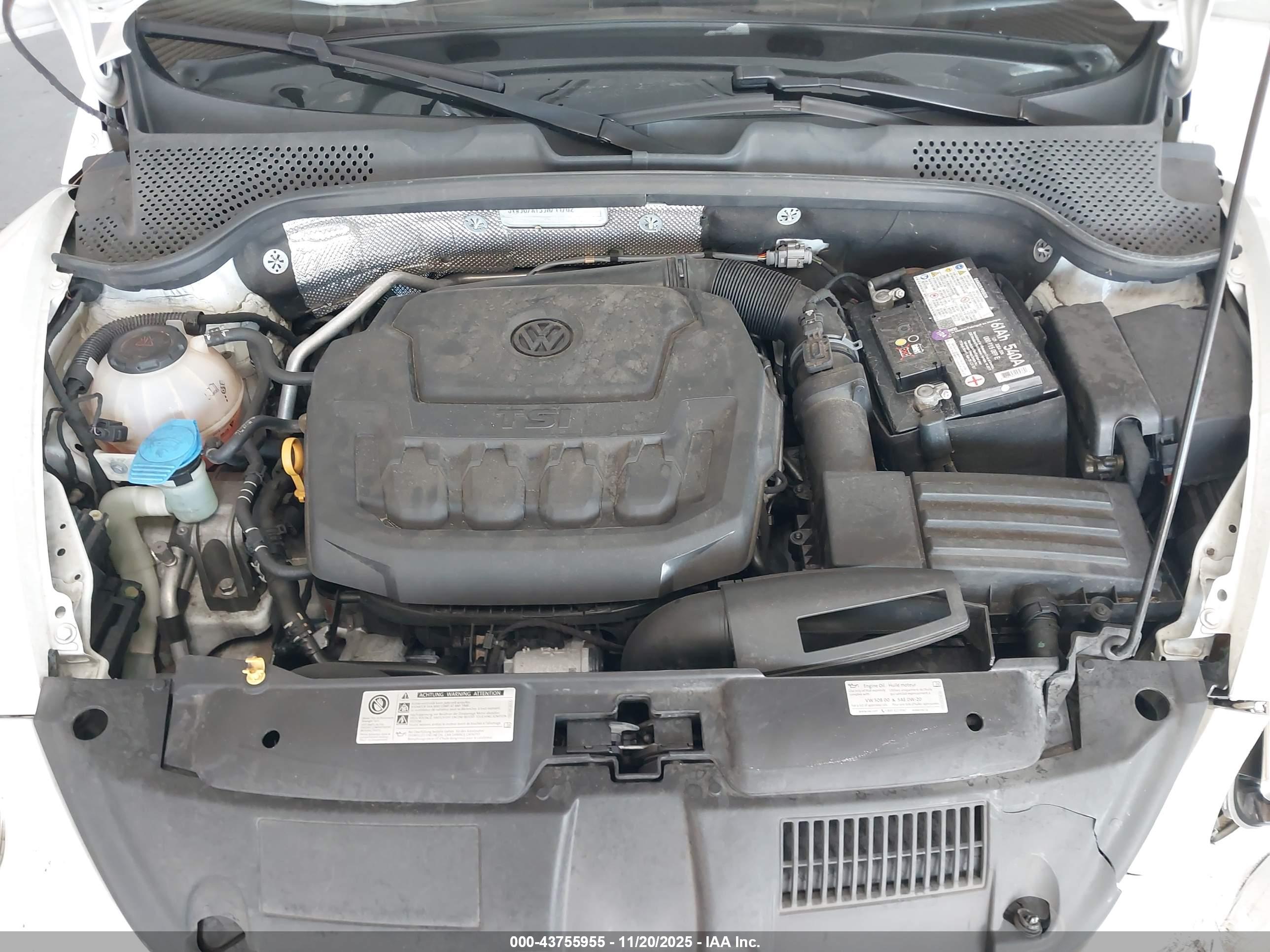 VOLKSWAGEN BEETLE image 10