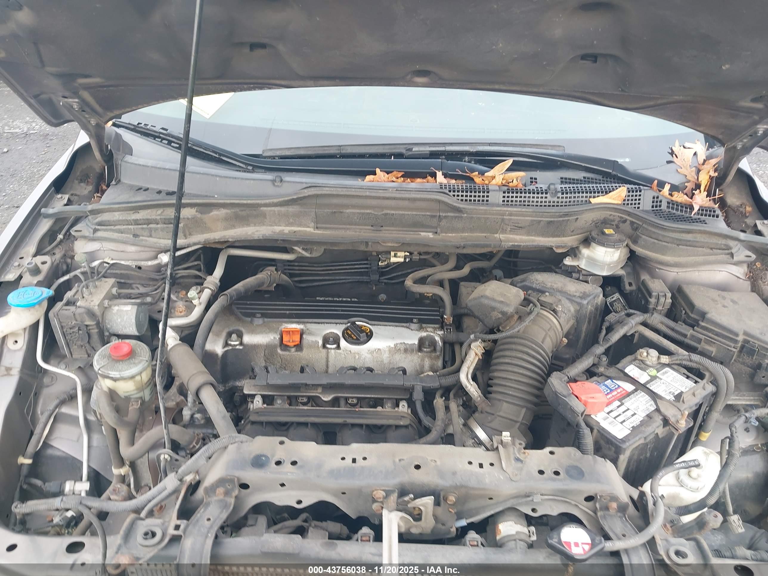 HONDA CR-V image 10