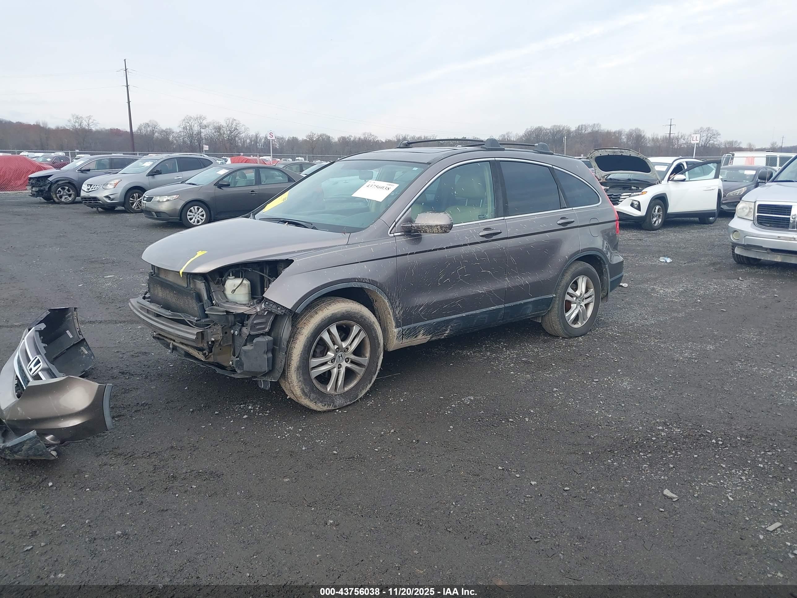 HONDA CR-V image 2