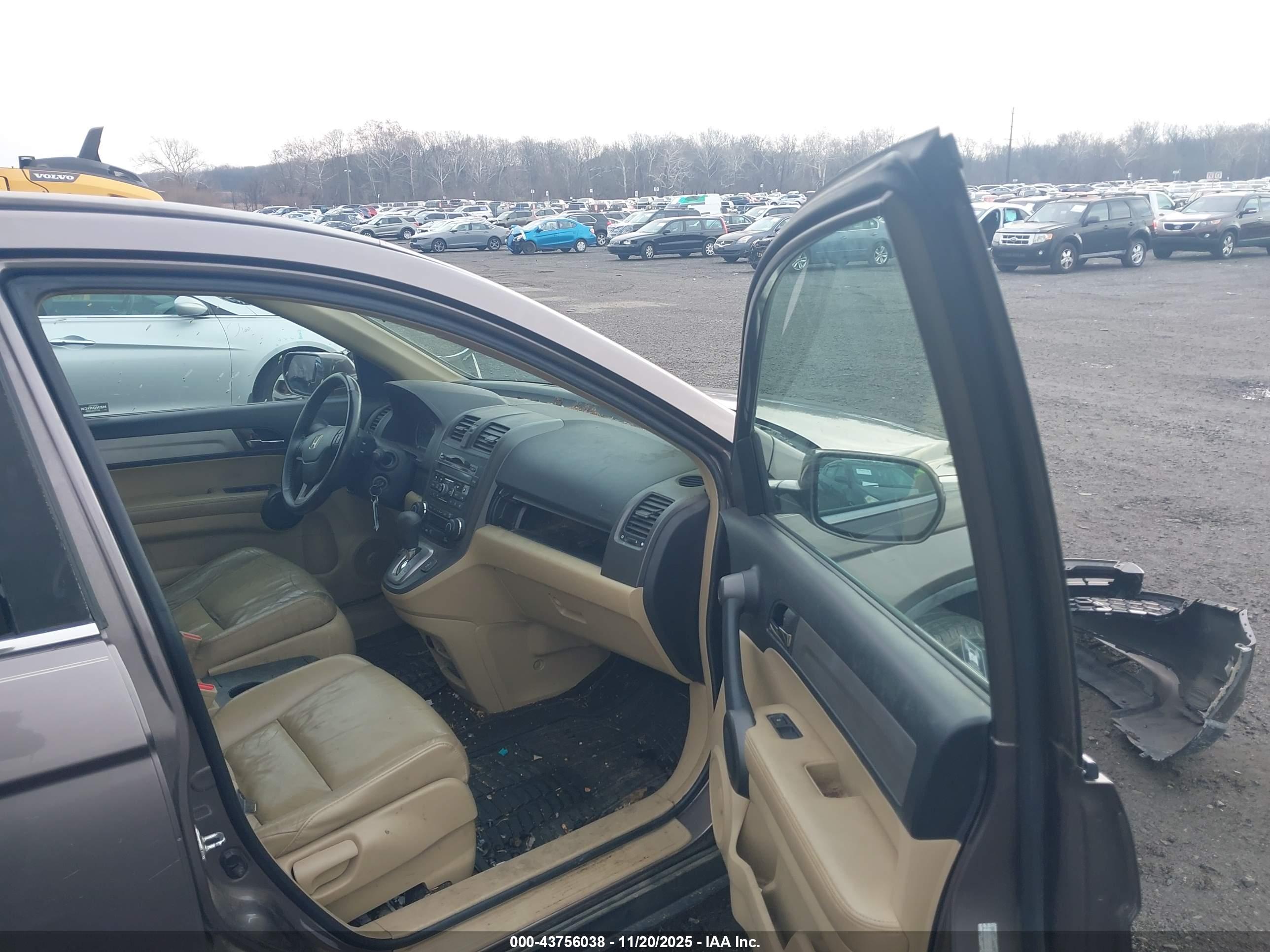 HONDA CR-V image 5