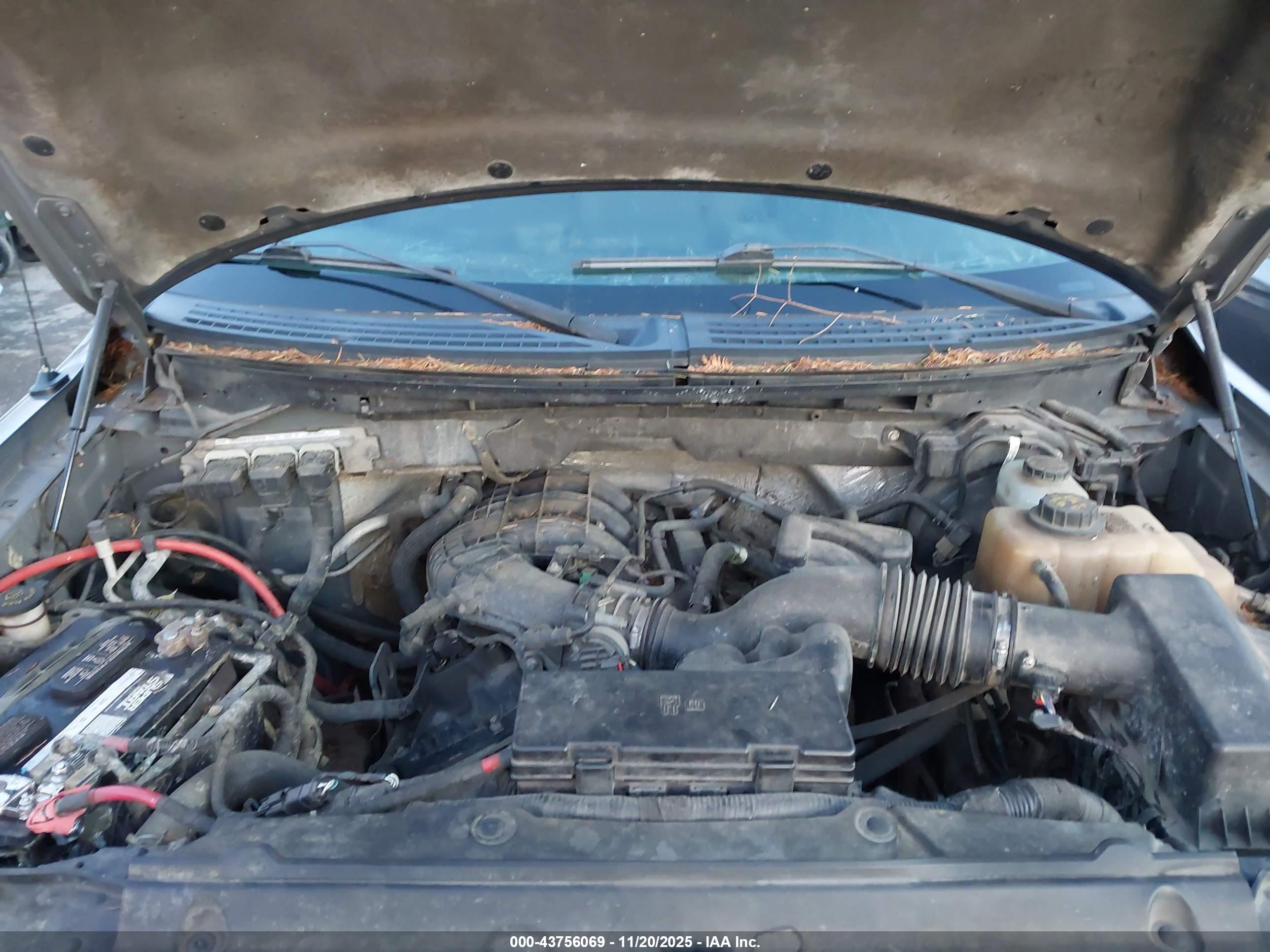 FORD F-150 image 10