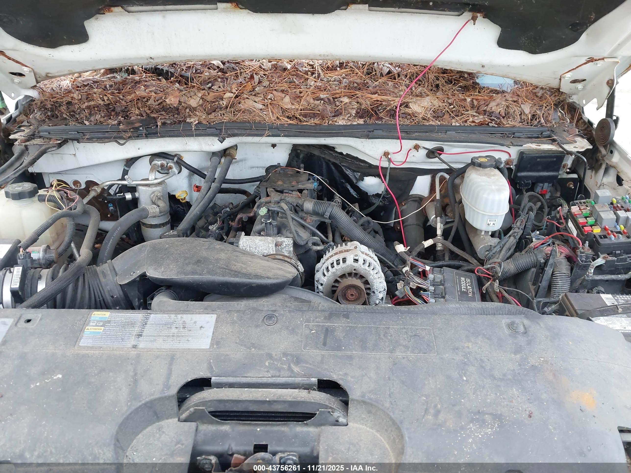 CHEVROLET SILVERADO image 10
