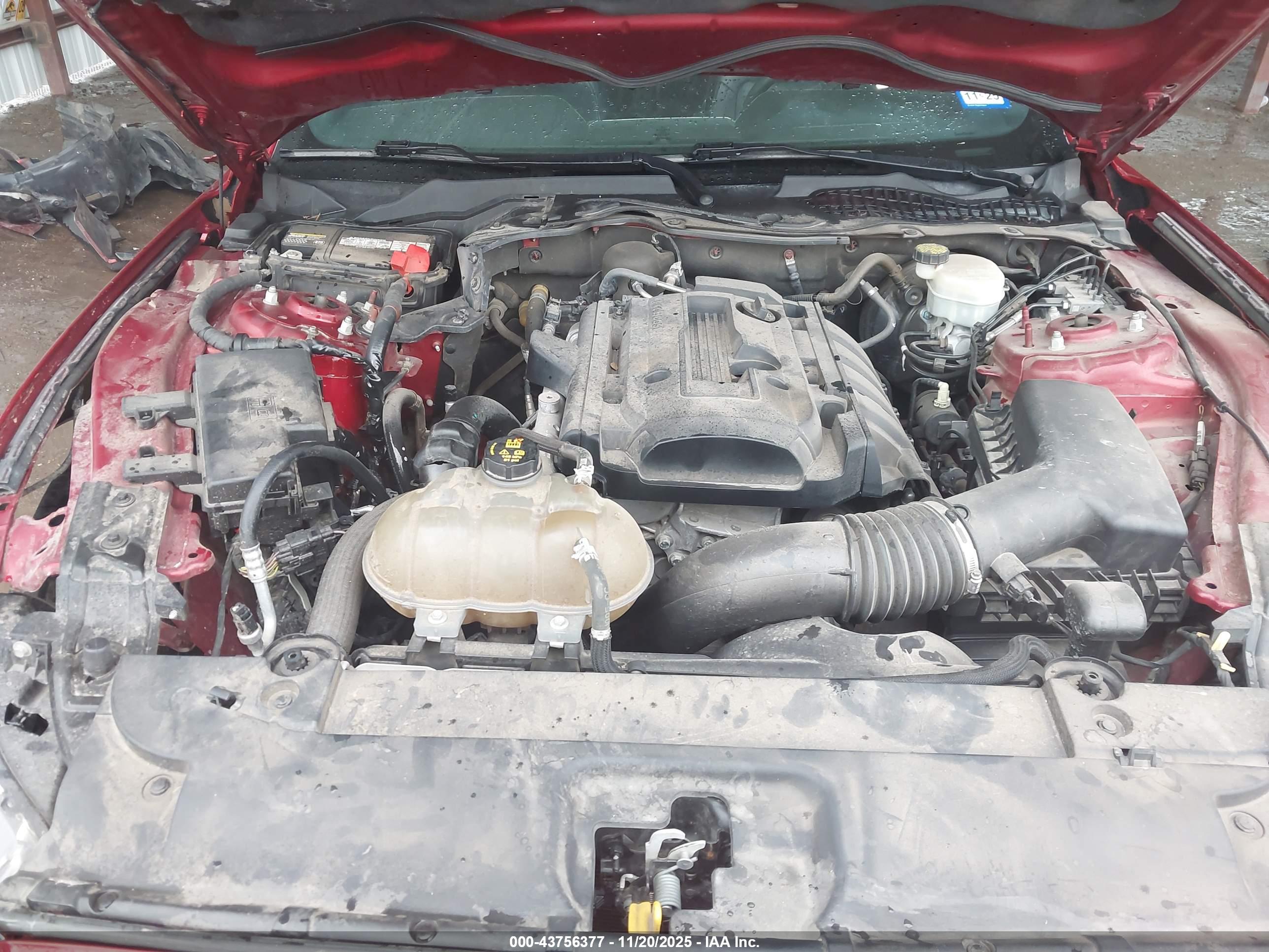 FORD MUSTANG image 10