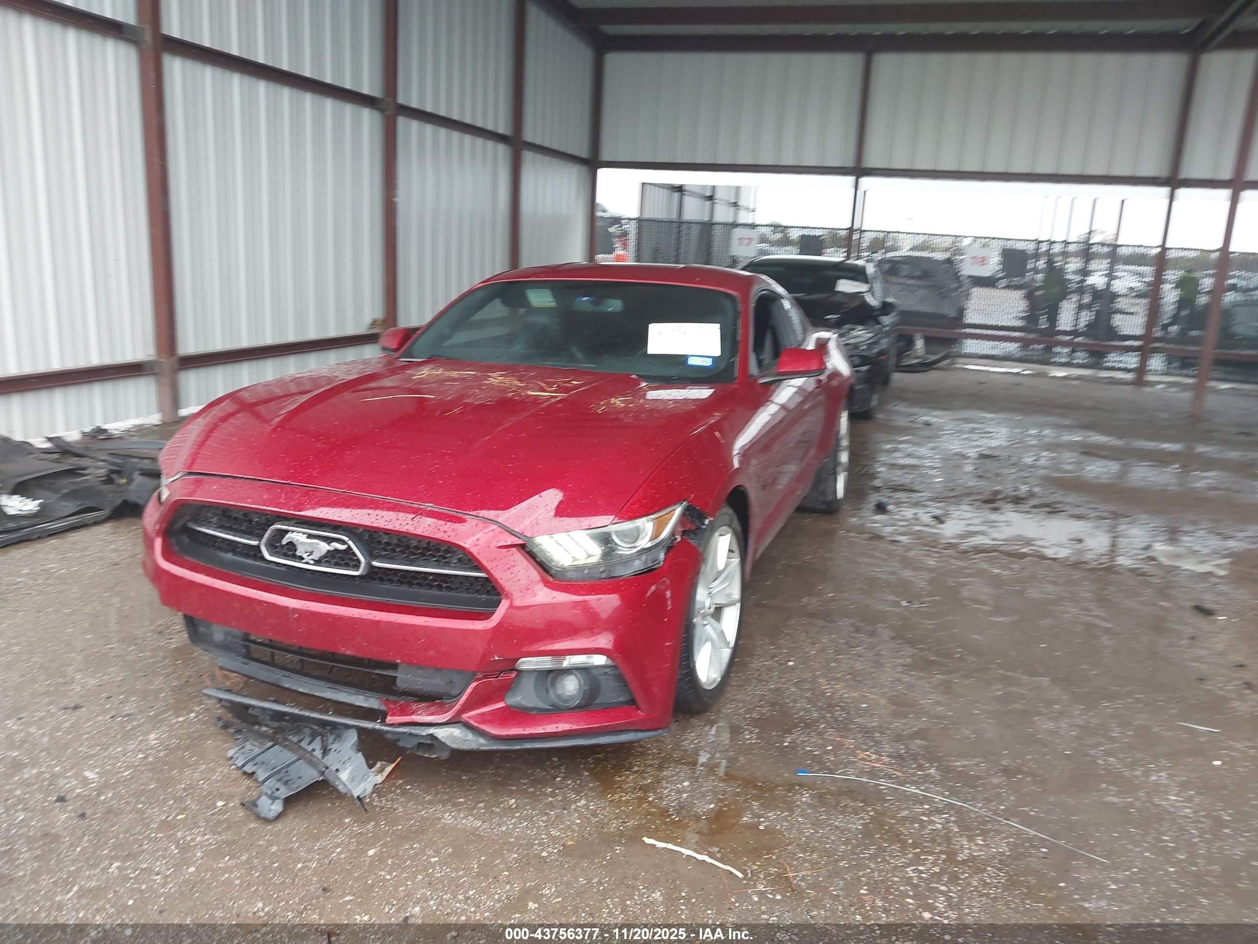 FORD MUSTANG image 2
