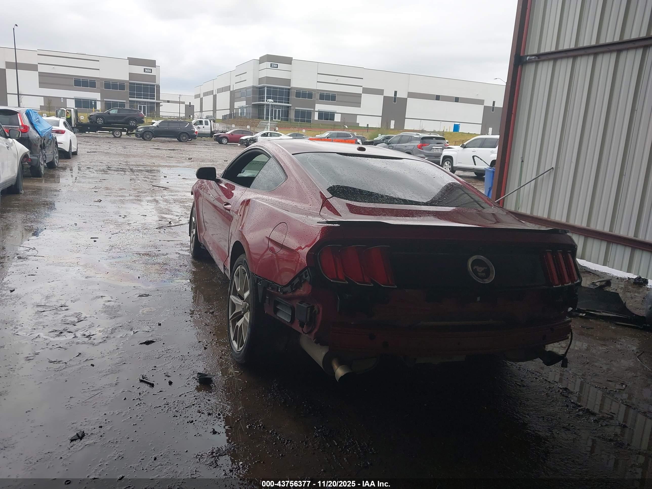 FORD MUSTANG image 3