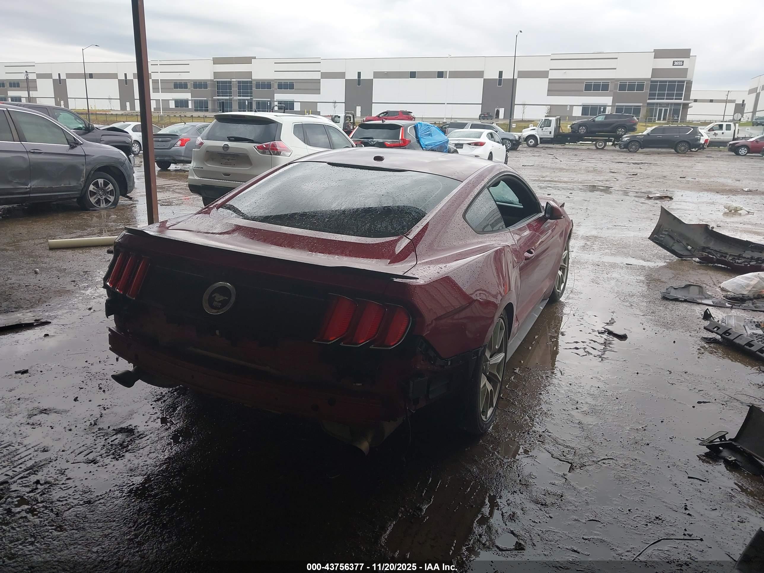 FORD MUSTANG image 4