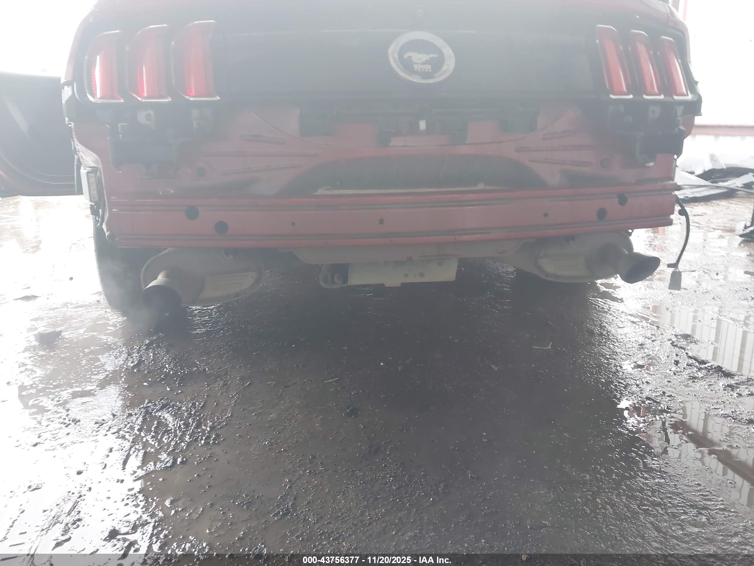 FORD MUSTANG image 6