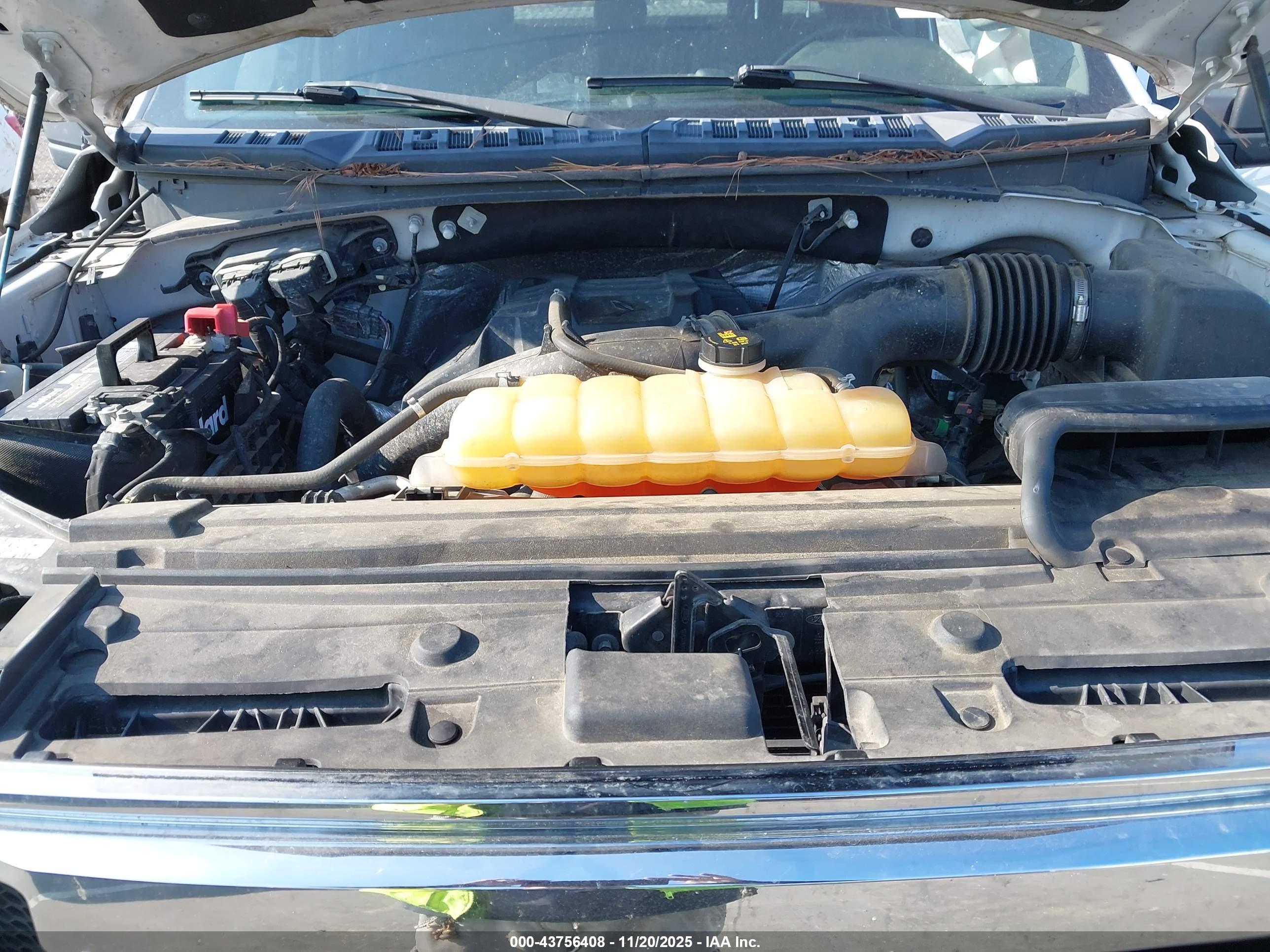 FORD F-150 image 10