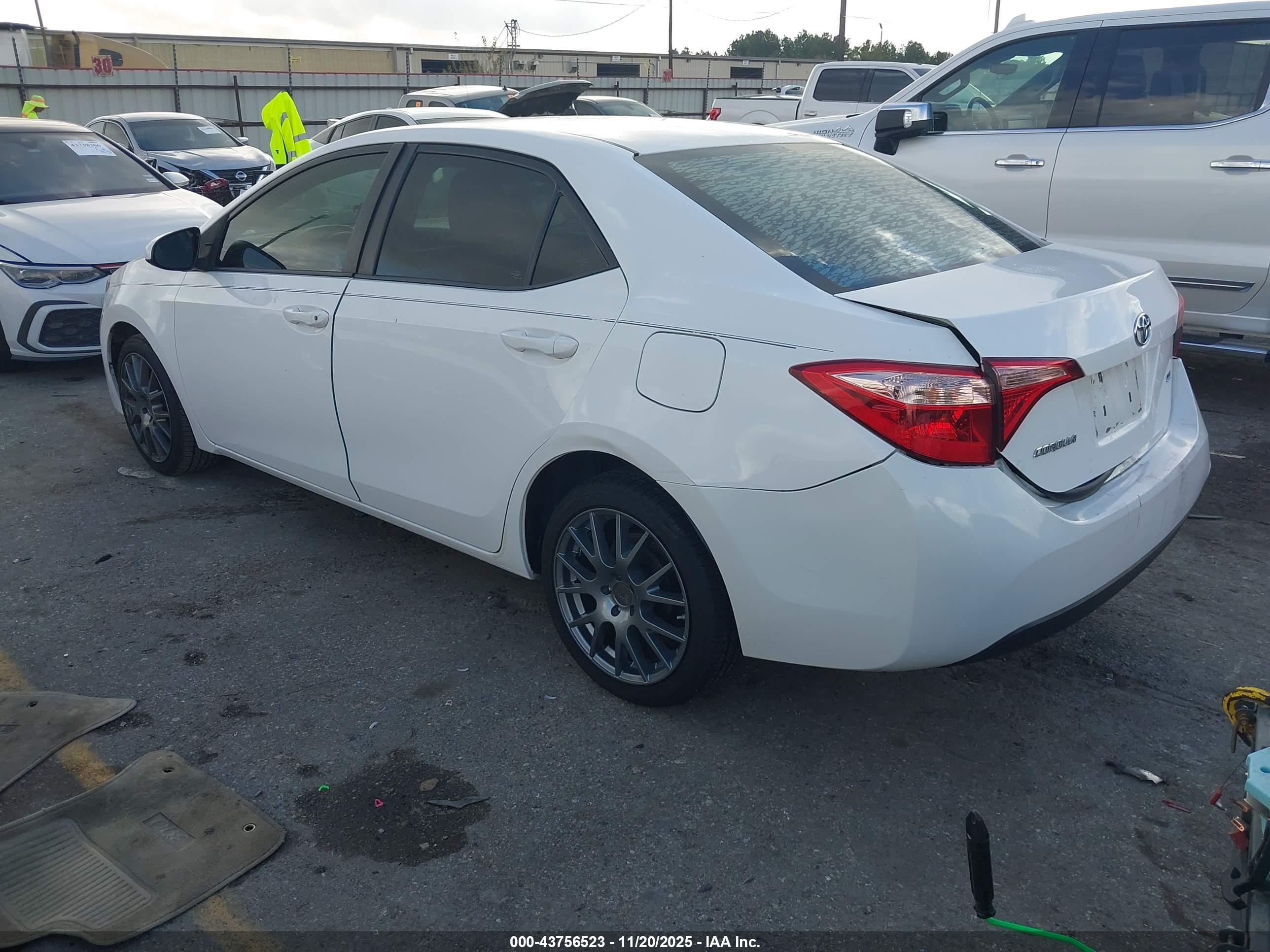 TOYOTA COROLLA image 3