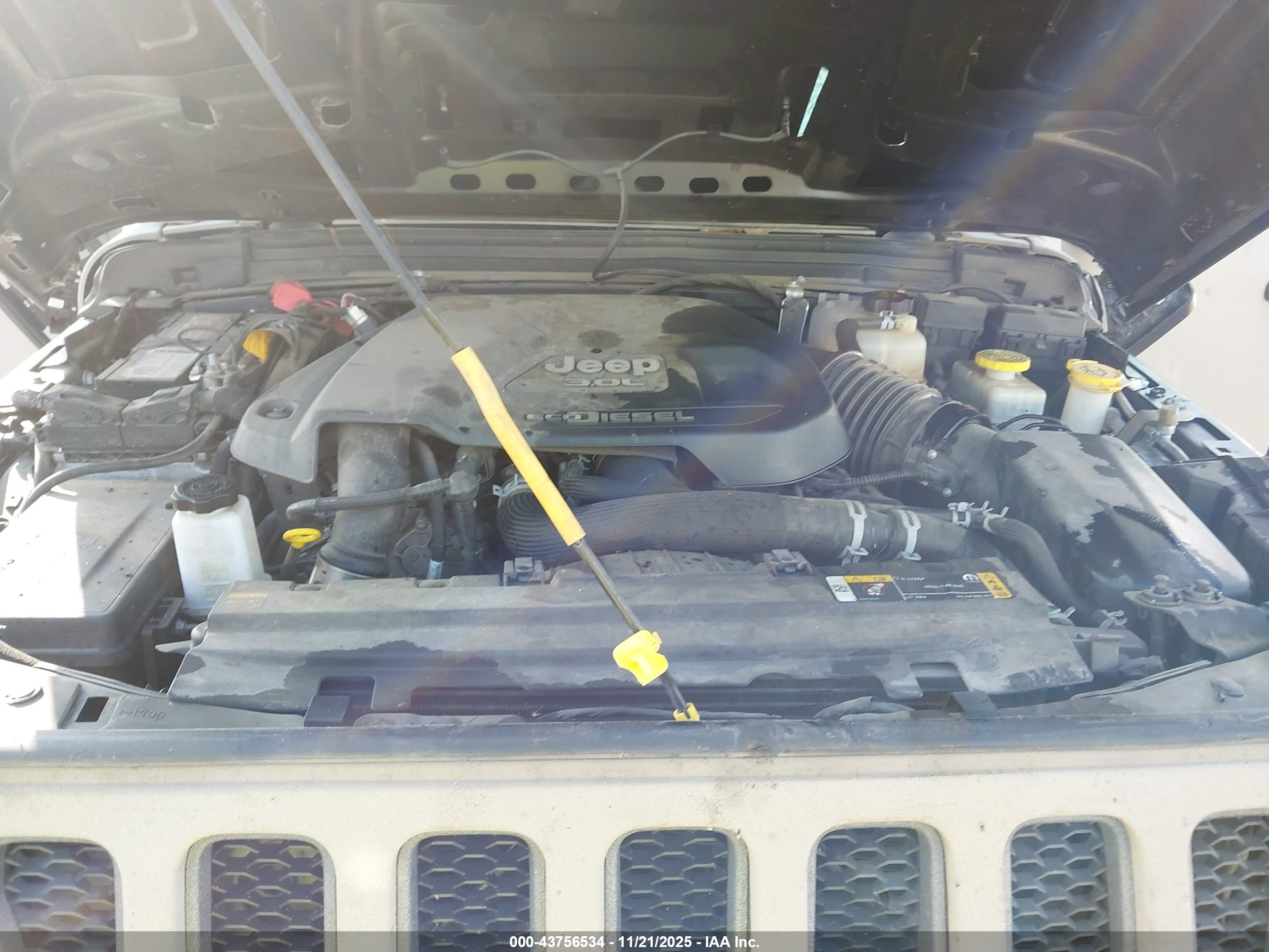JEEP WRANGLER image 10